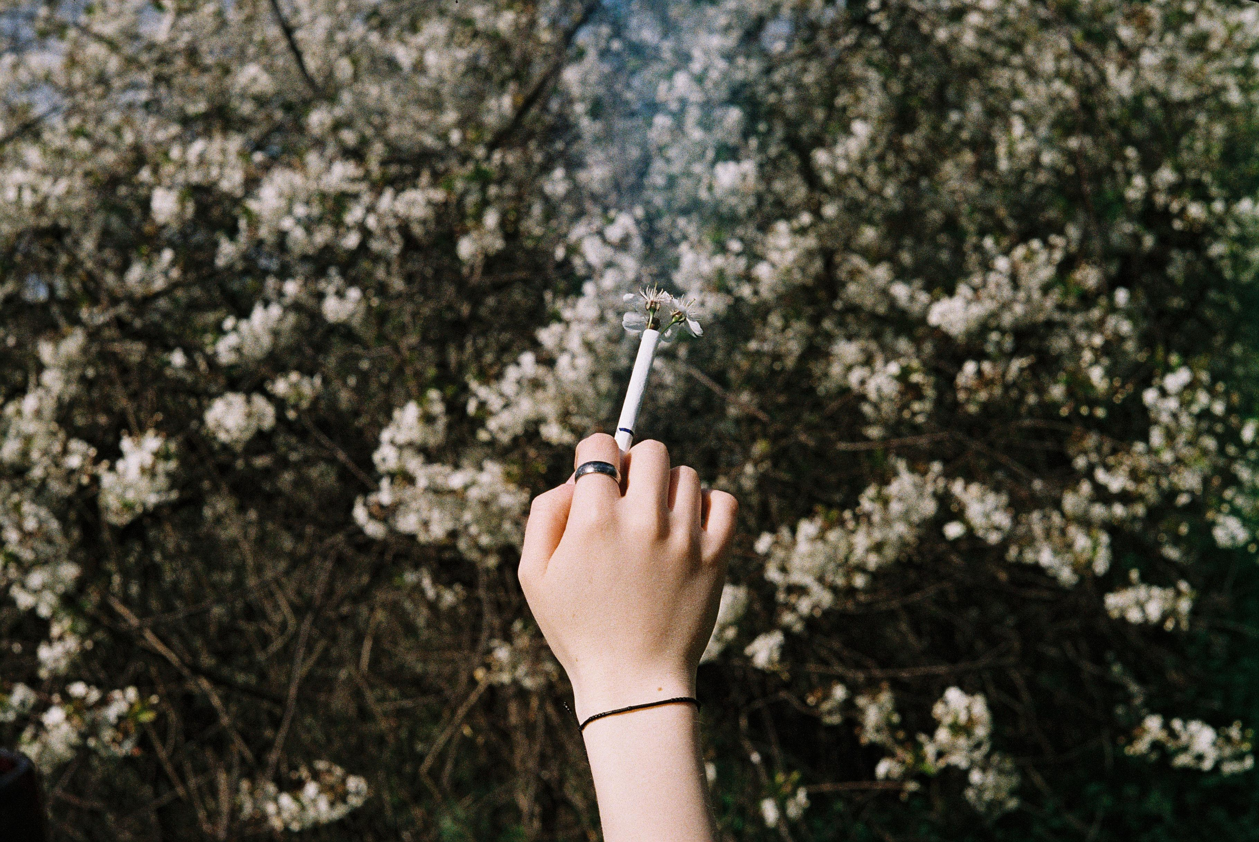 Весна. Плёнка. Катя. Фотограф Денис Кириллов