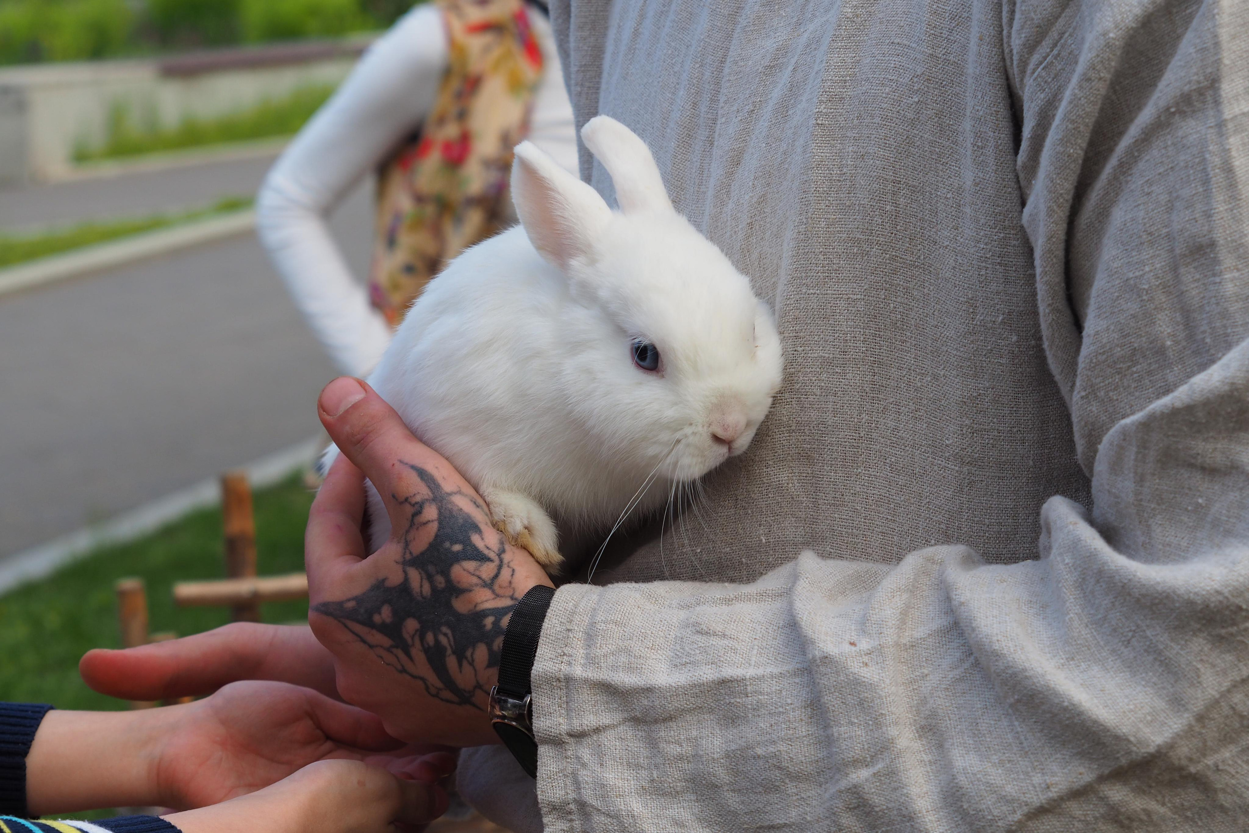 Times and Epochs 2023. Kolomenskoye. Denis Kirillov