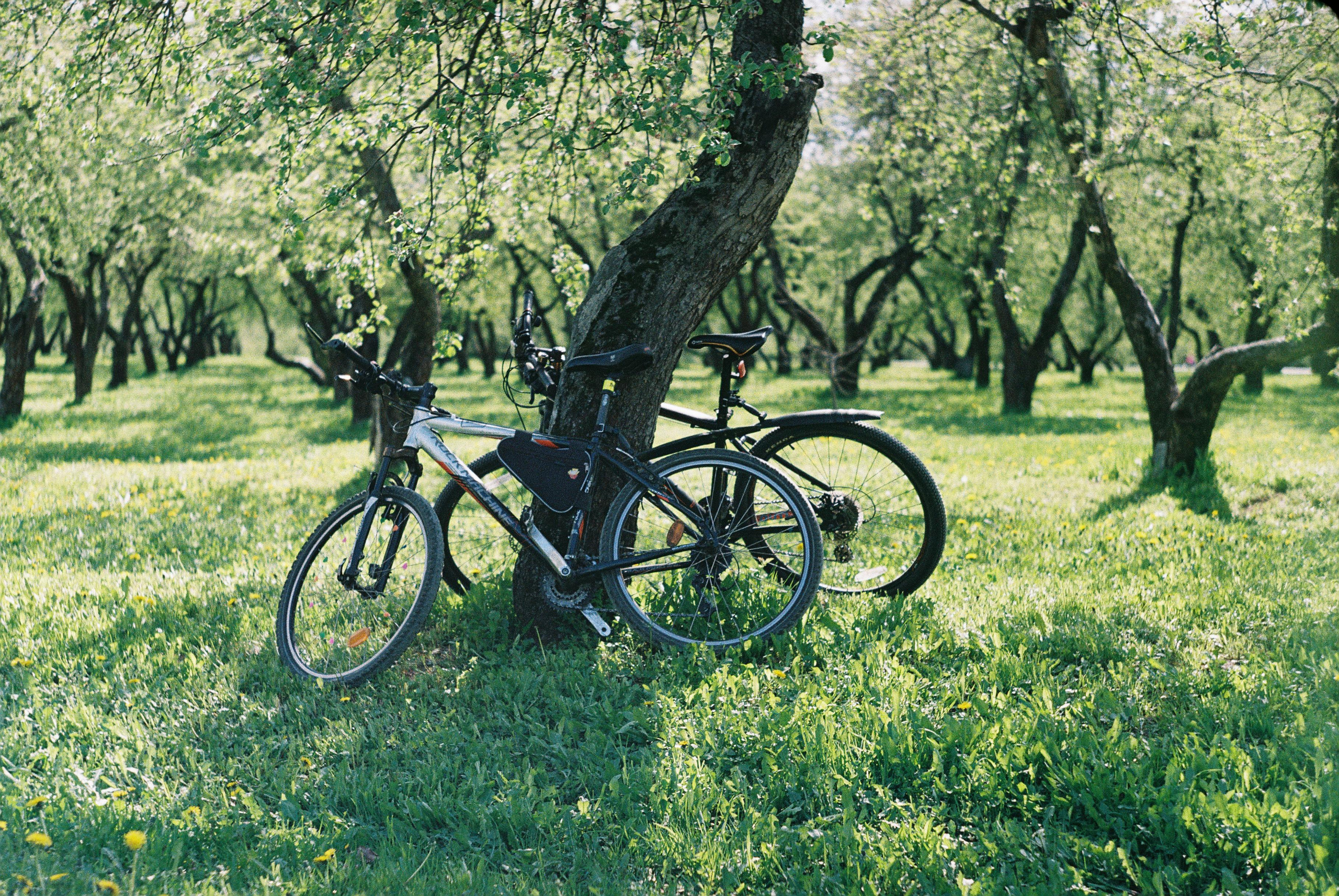 Весна. Плёнка. Катя. Фотограф Денис Кириллов