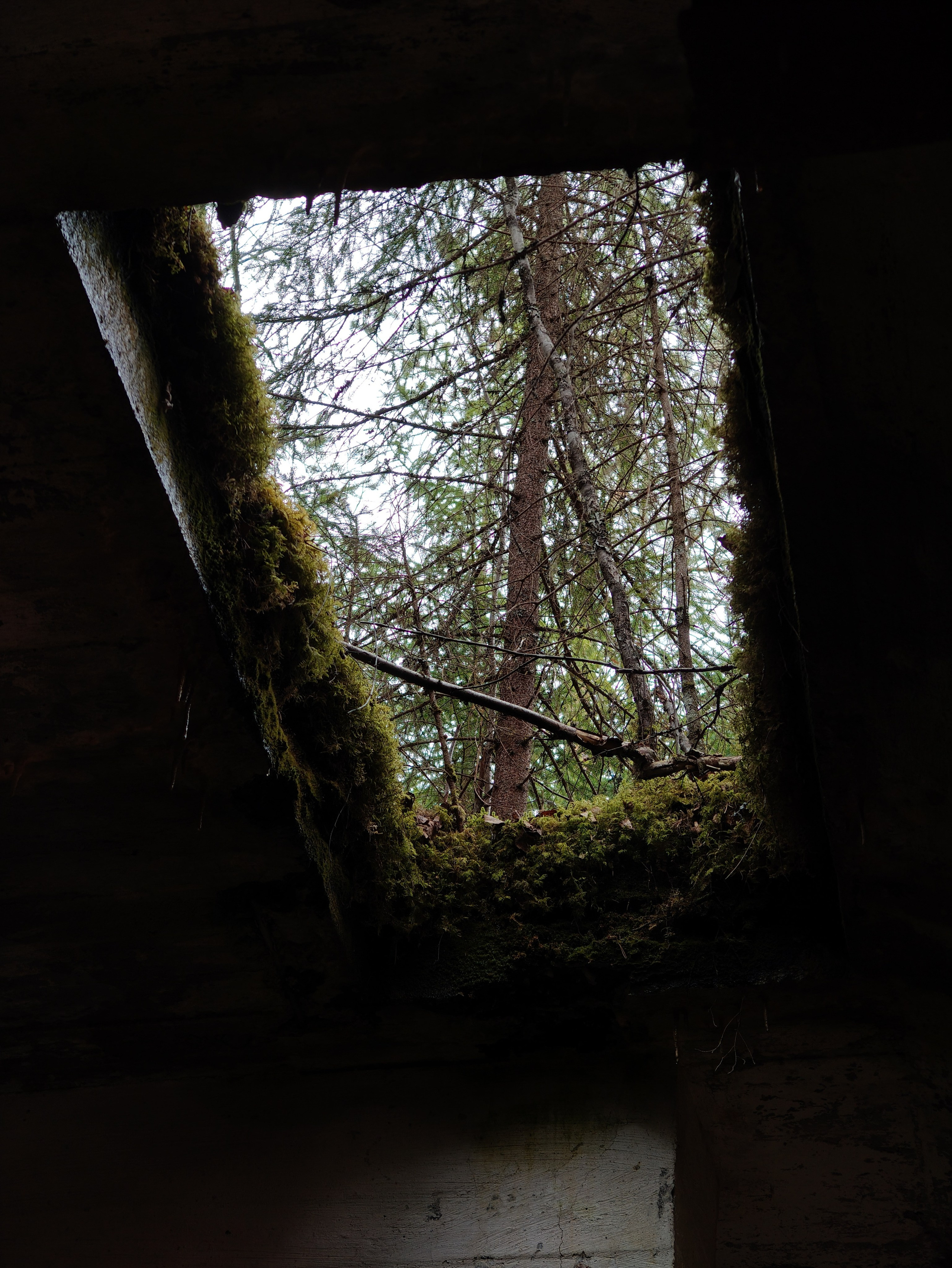 Сплав по Китенйоки | 2025