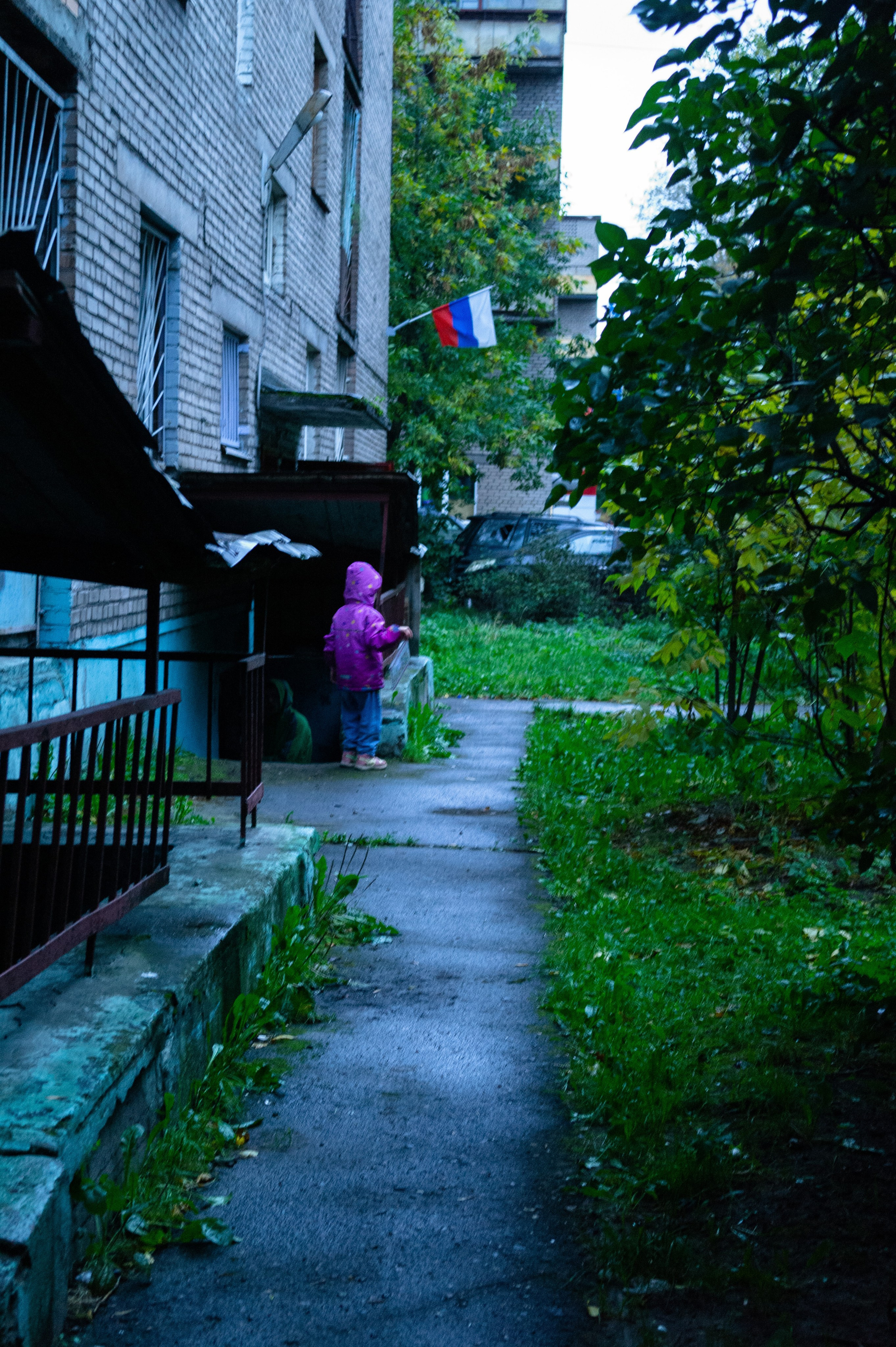 Сентябрь 2025. Den Mirov — Фотограф, Музыкант