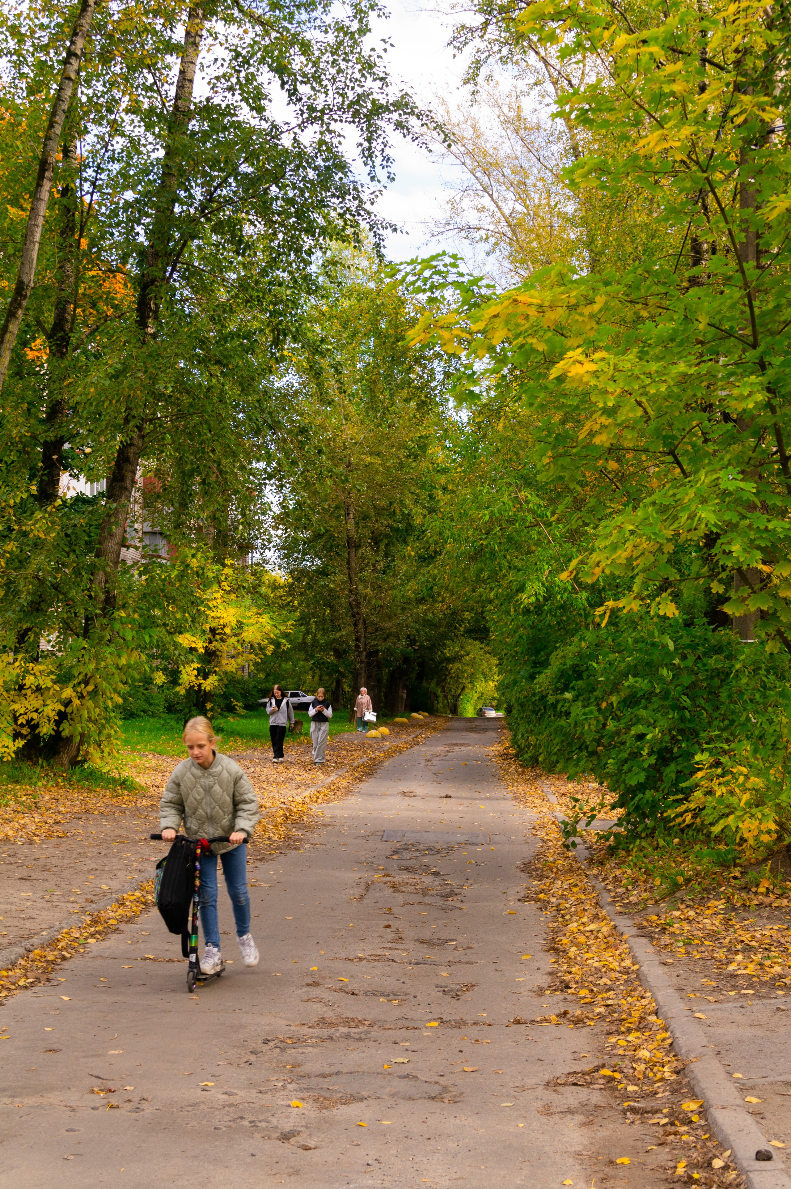 Сентябрь 2025. Den Mirov — Фотограф, Музыкант