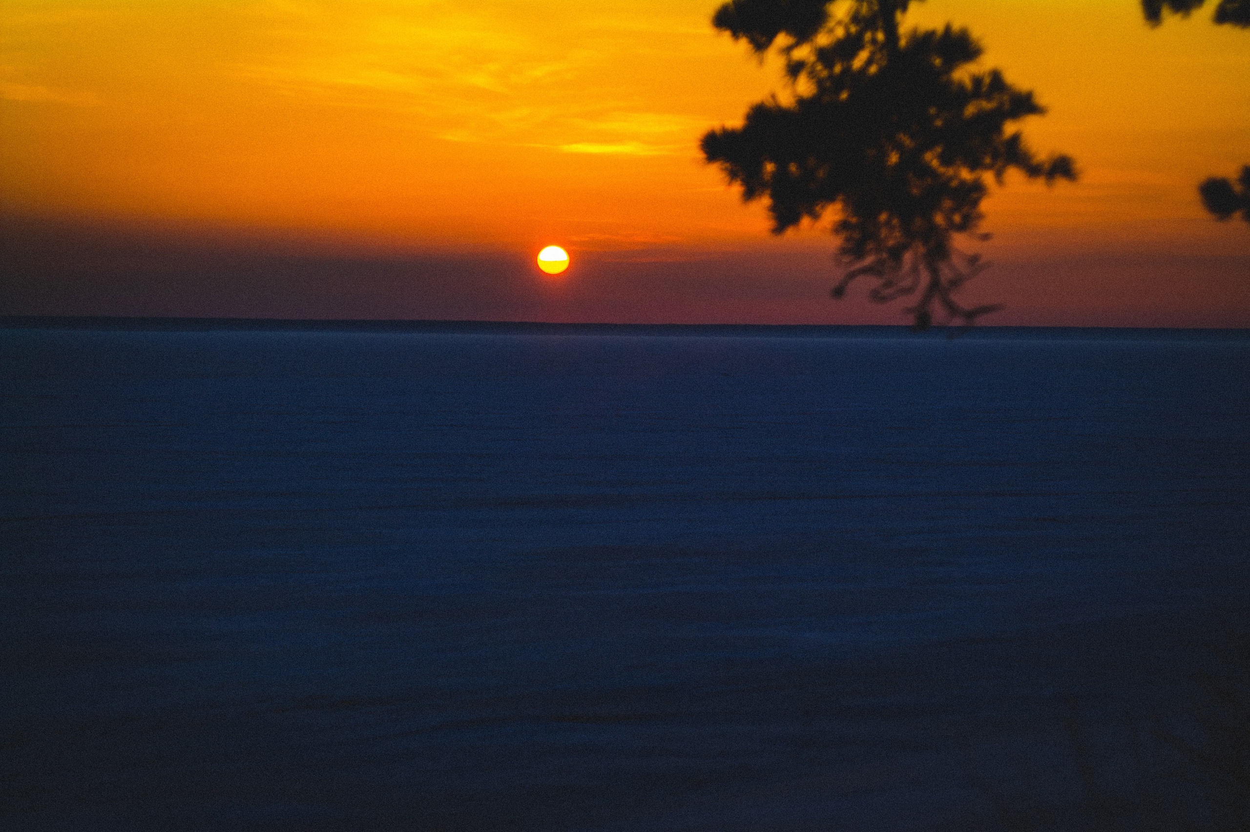 Narcissist. Den Mirov — Photographer, Musician