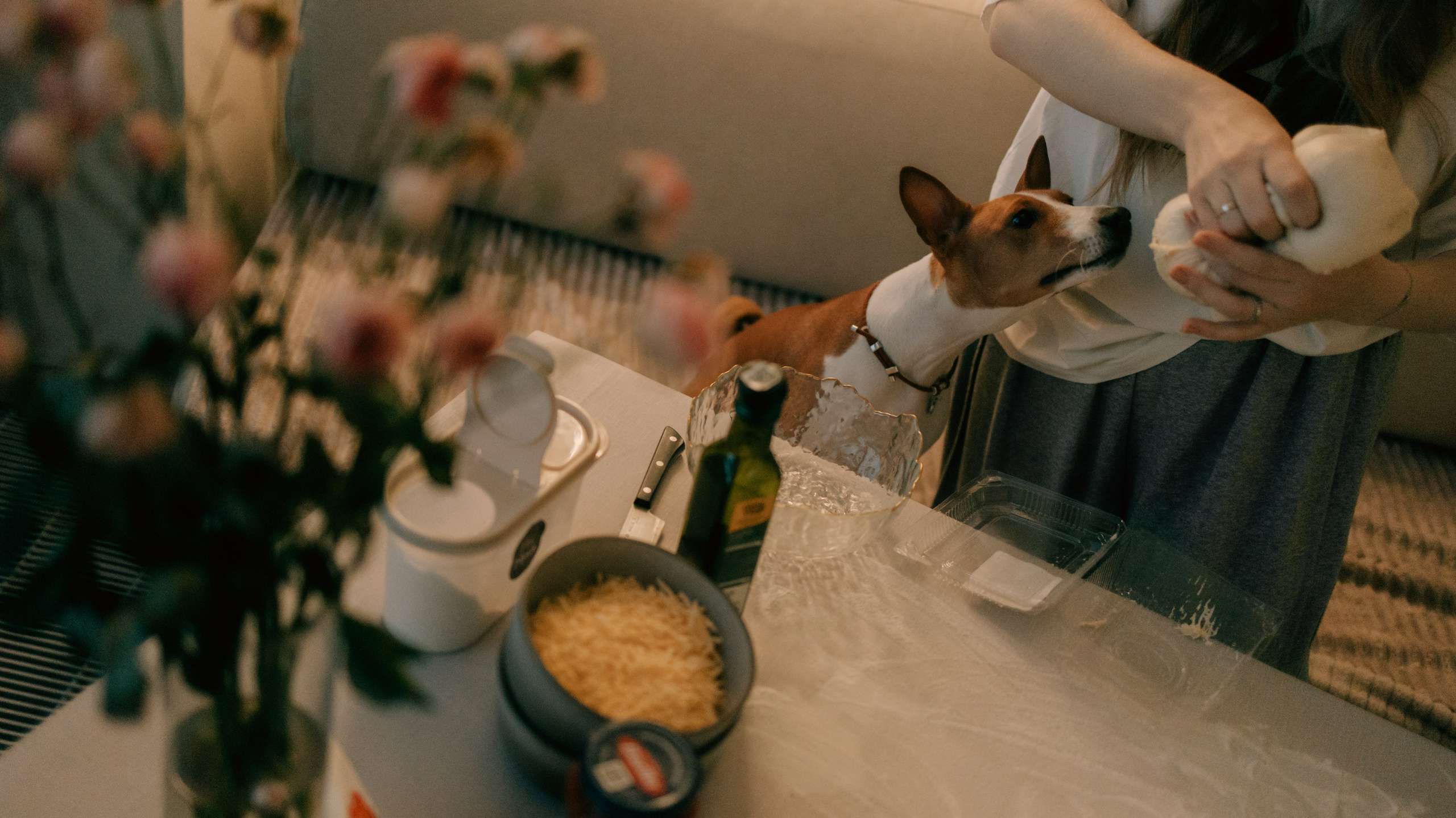 Люба, Никита и Бахати. Фотограф-анималист Богданова Полина