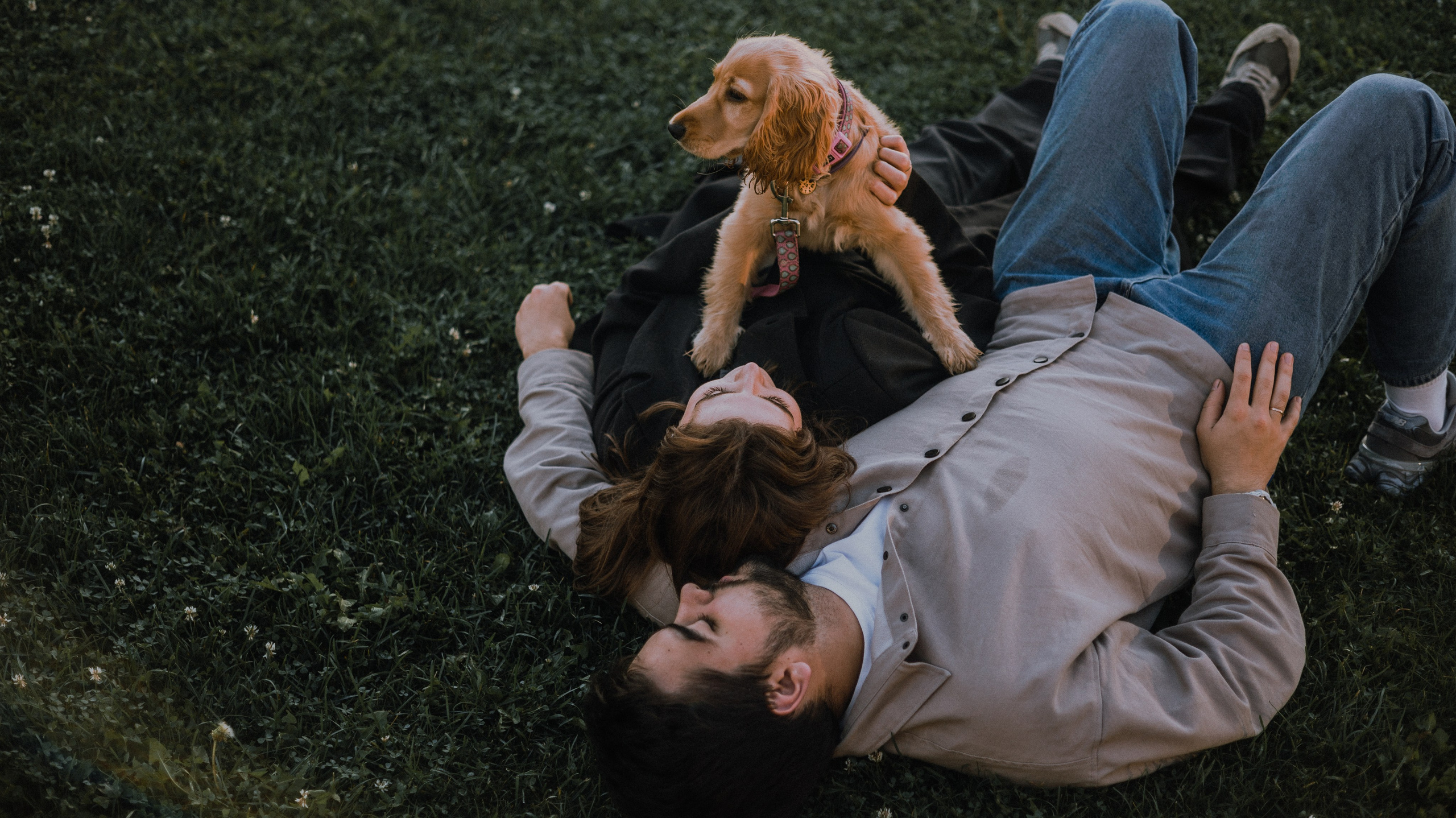 Аня, Андрей и Юта. Фотограф-анималист Богданова Полина