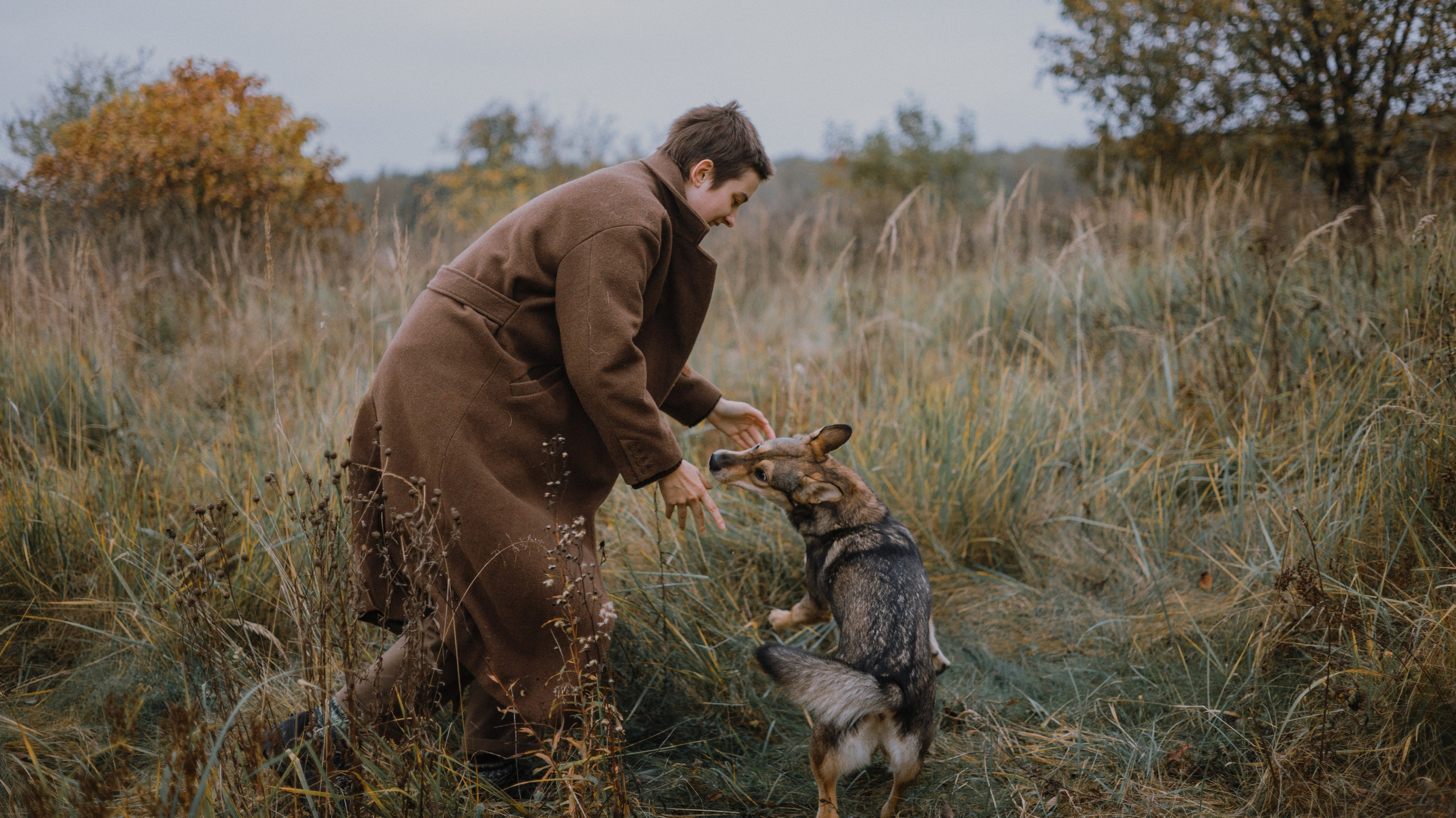 Маша, Катя, Астрид и Мася. Фотограф-анималист Богданова Полина