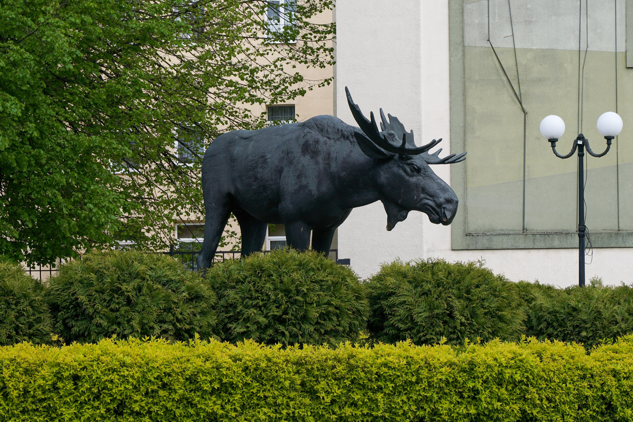 СОВЕТСК, ЧЕРНЯХОВСК. Фотограф Наталья Погодина в г. Обнинске
