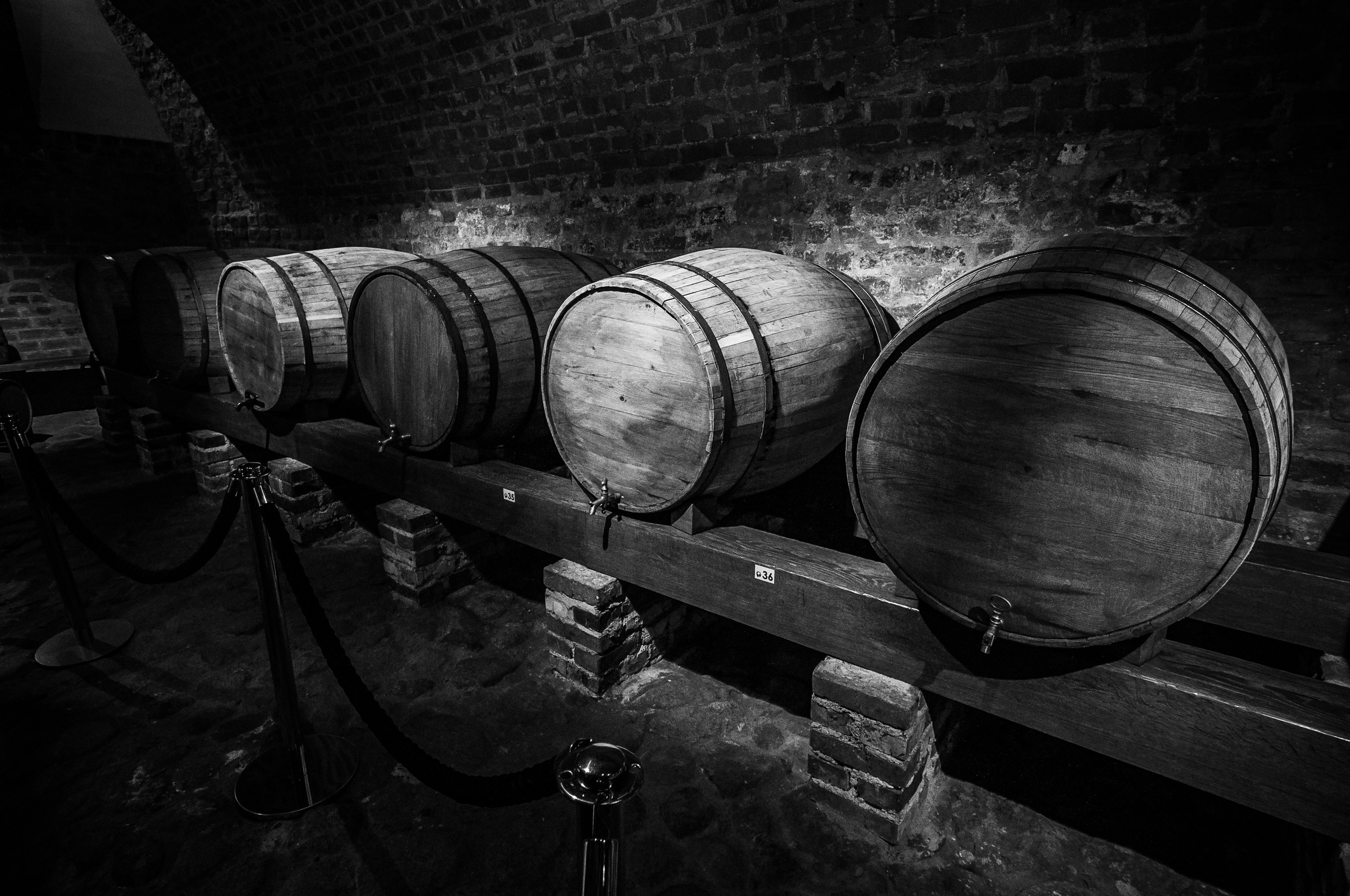 Мирский замок 2013. Фотограф Антон Швец — Монохромная реальность