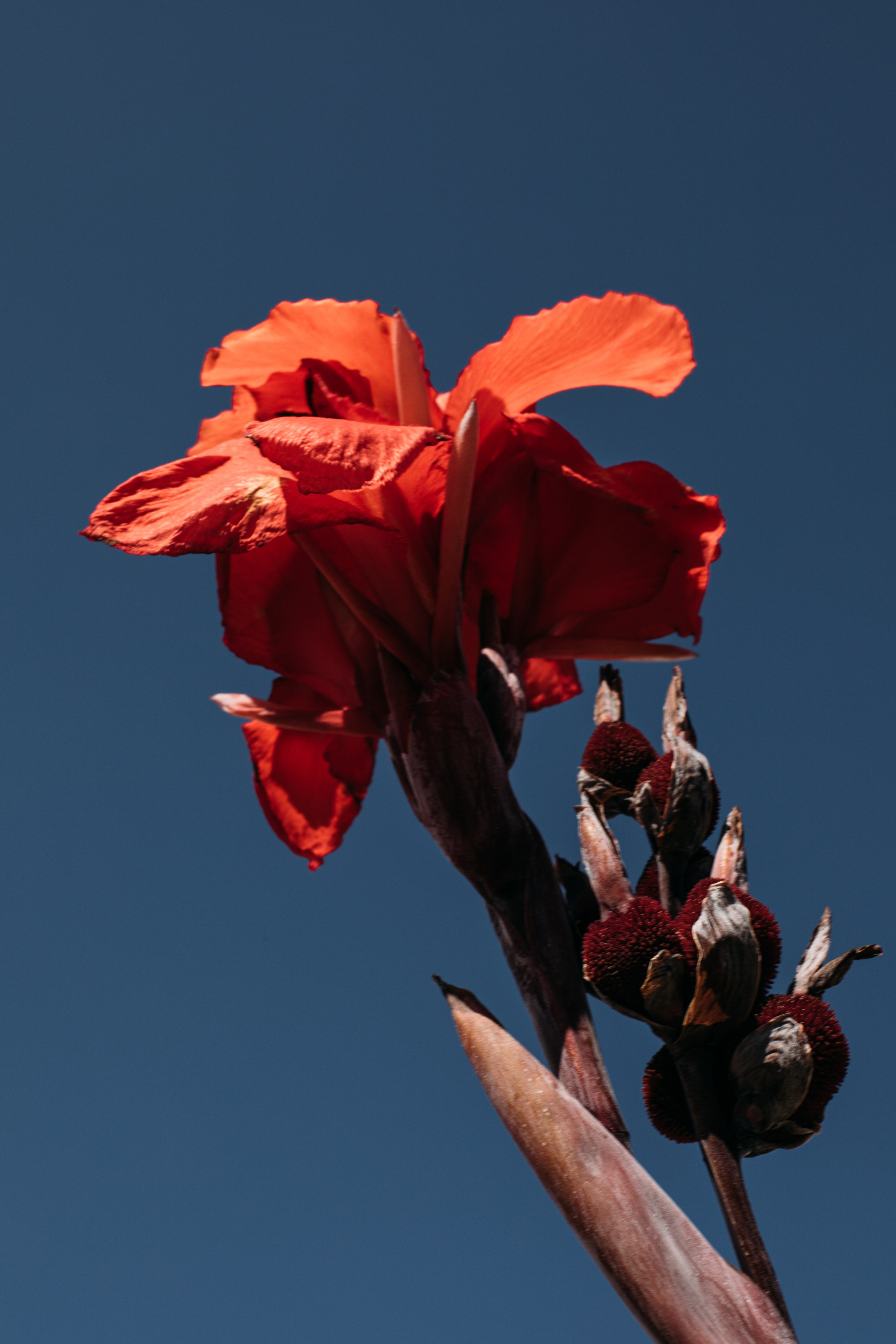 Portfolio. @beingabird.photography