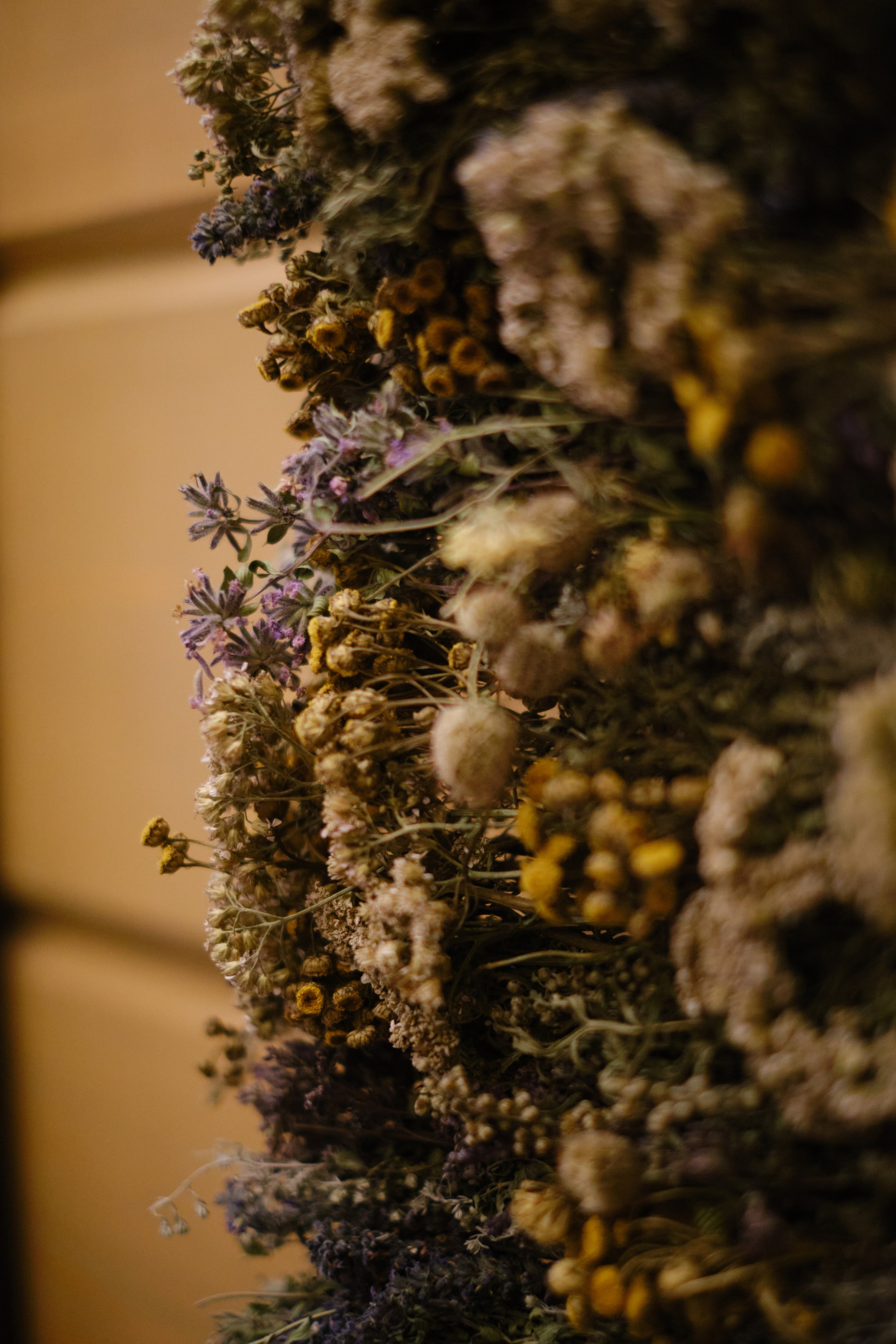 Дом для души. Алтай. Фотограф в Барнауле и на Алтае Маша Савова