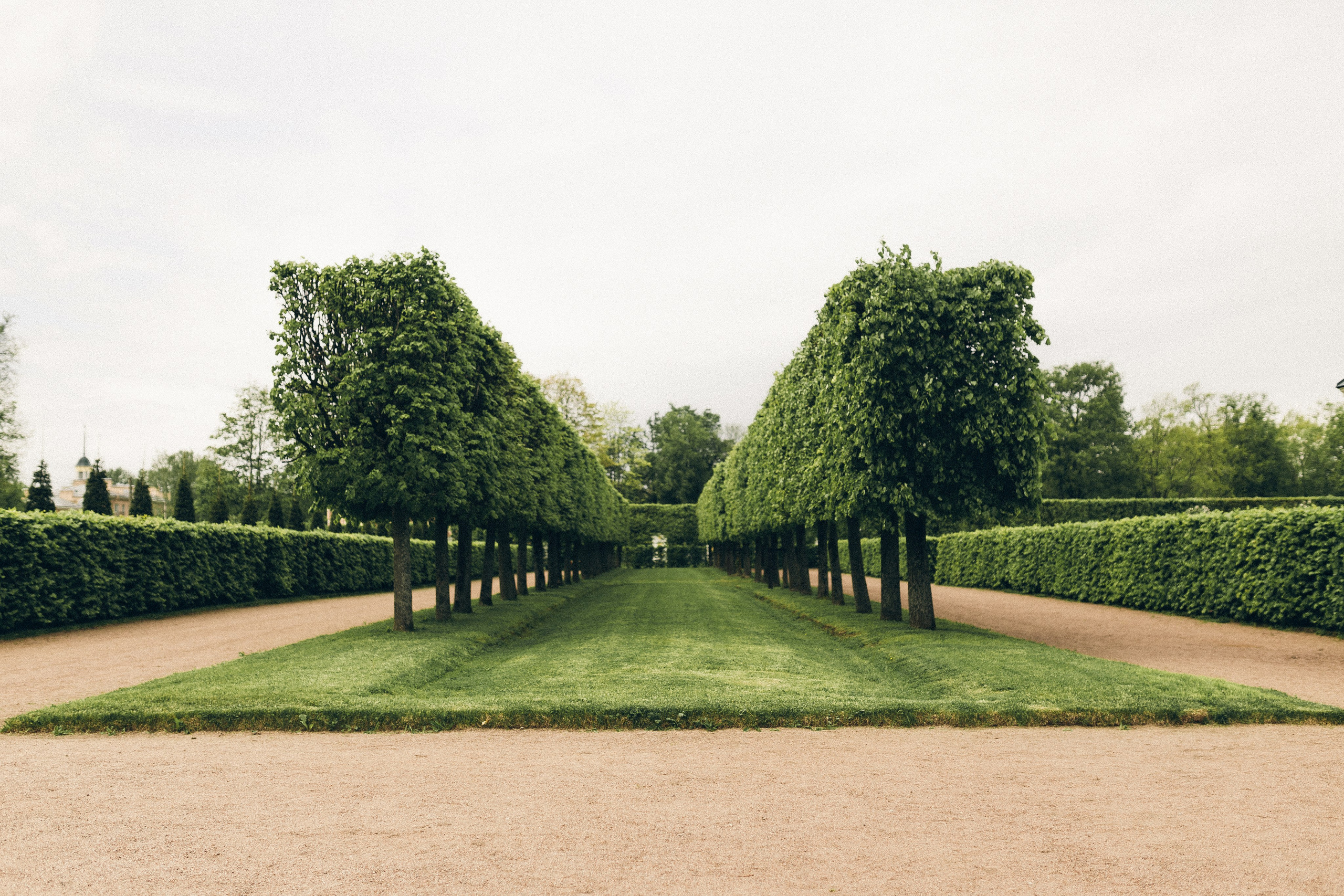 Петергоф. Фотограф Анастасия Платонова | Санкт-Петербург