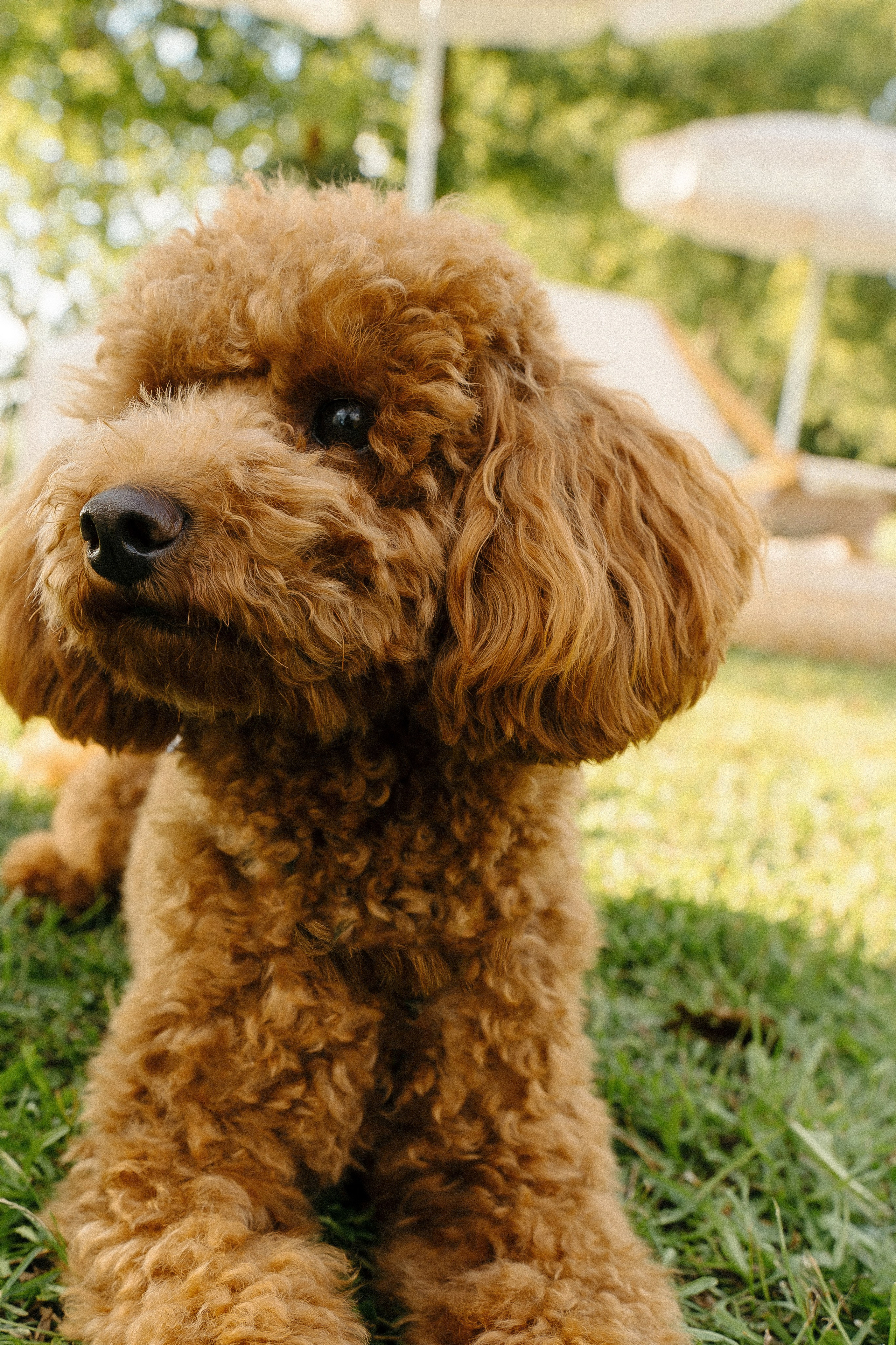 16.08.24+1. Свадебный фотограф Елизавета Поротикова