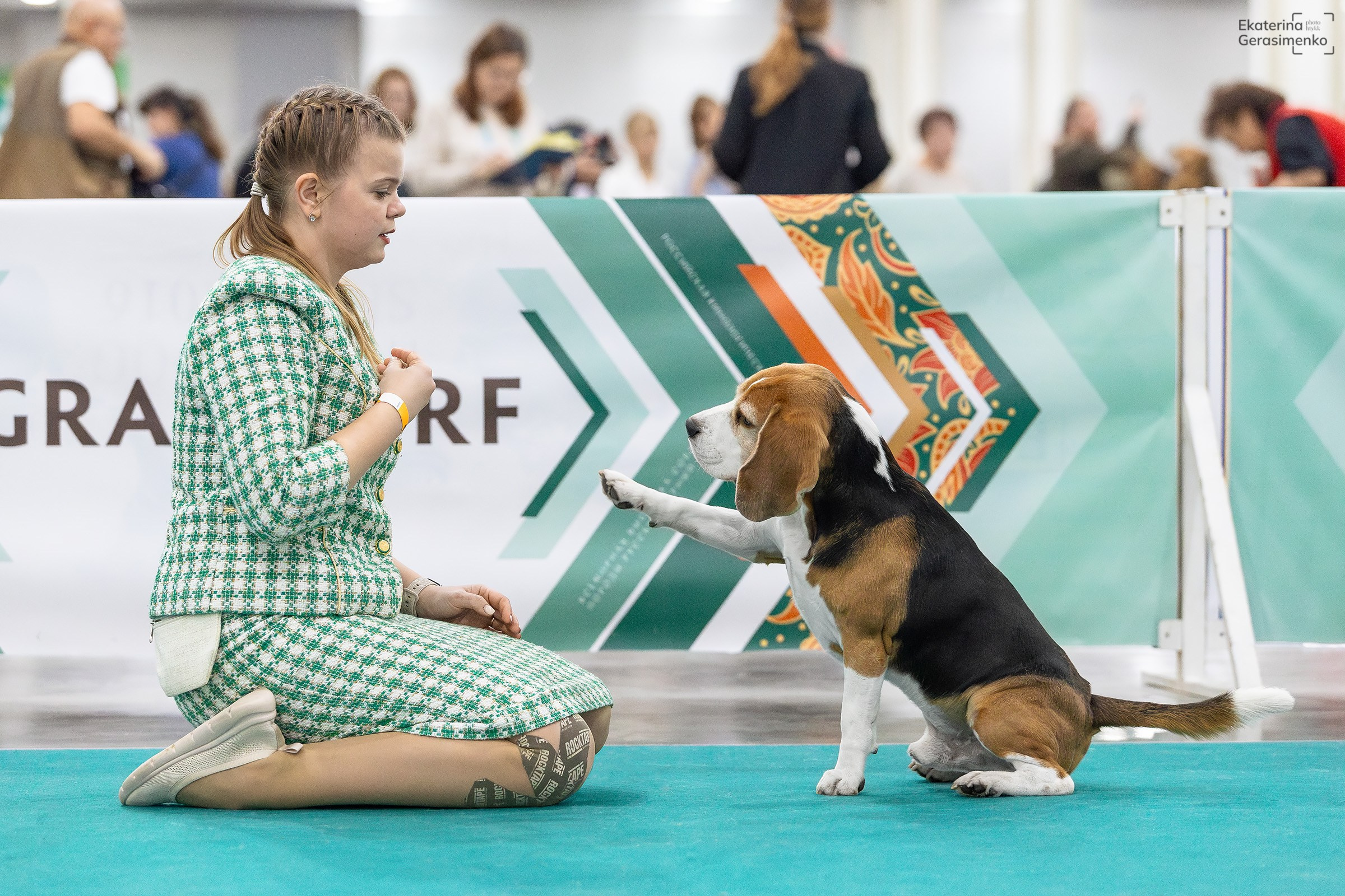 16–17 ноября 2024, Выставка ЕВРАЗИЯ, г. Москва. Htykk_photo