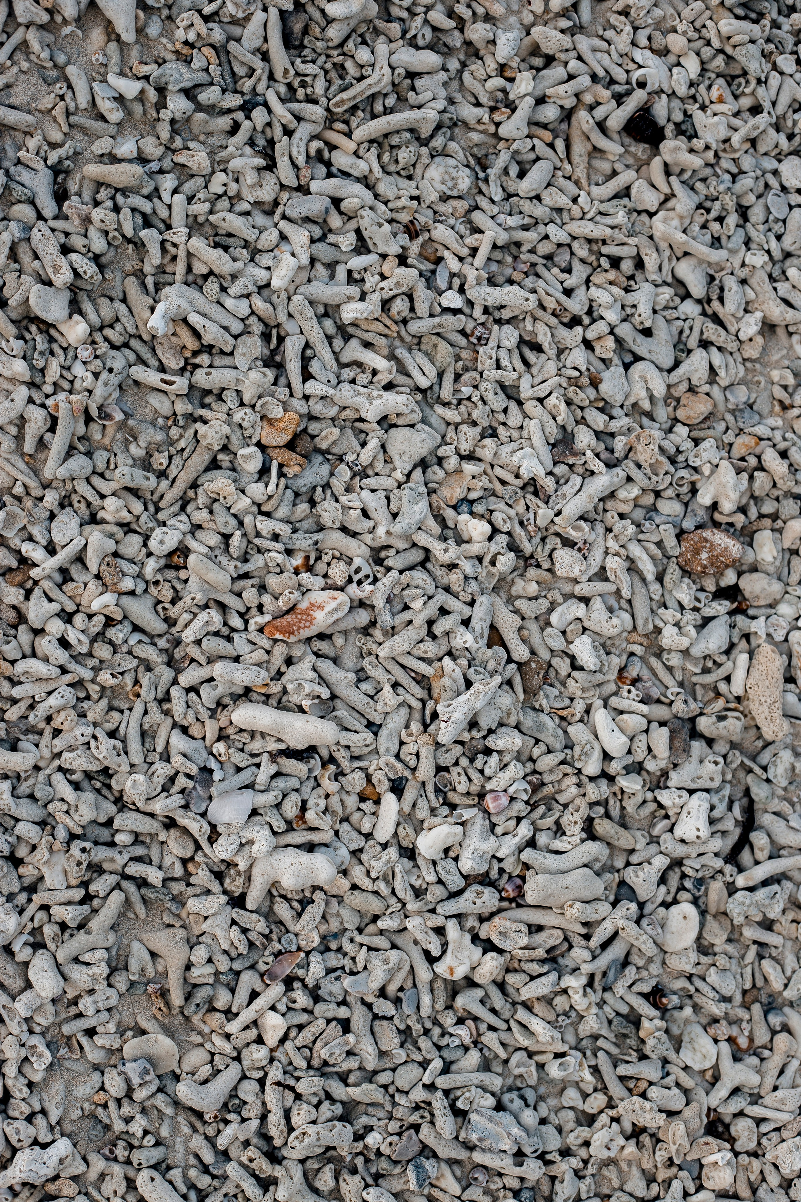 Andaman Islands, Part2. Art Photographer