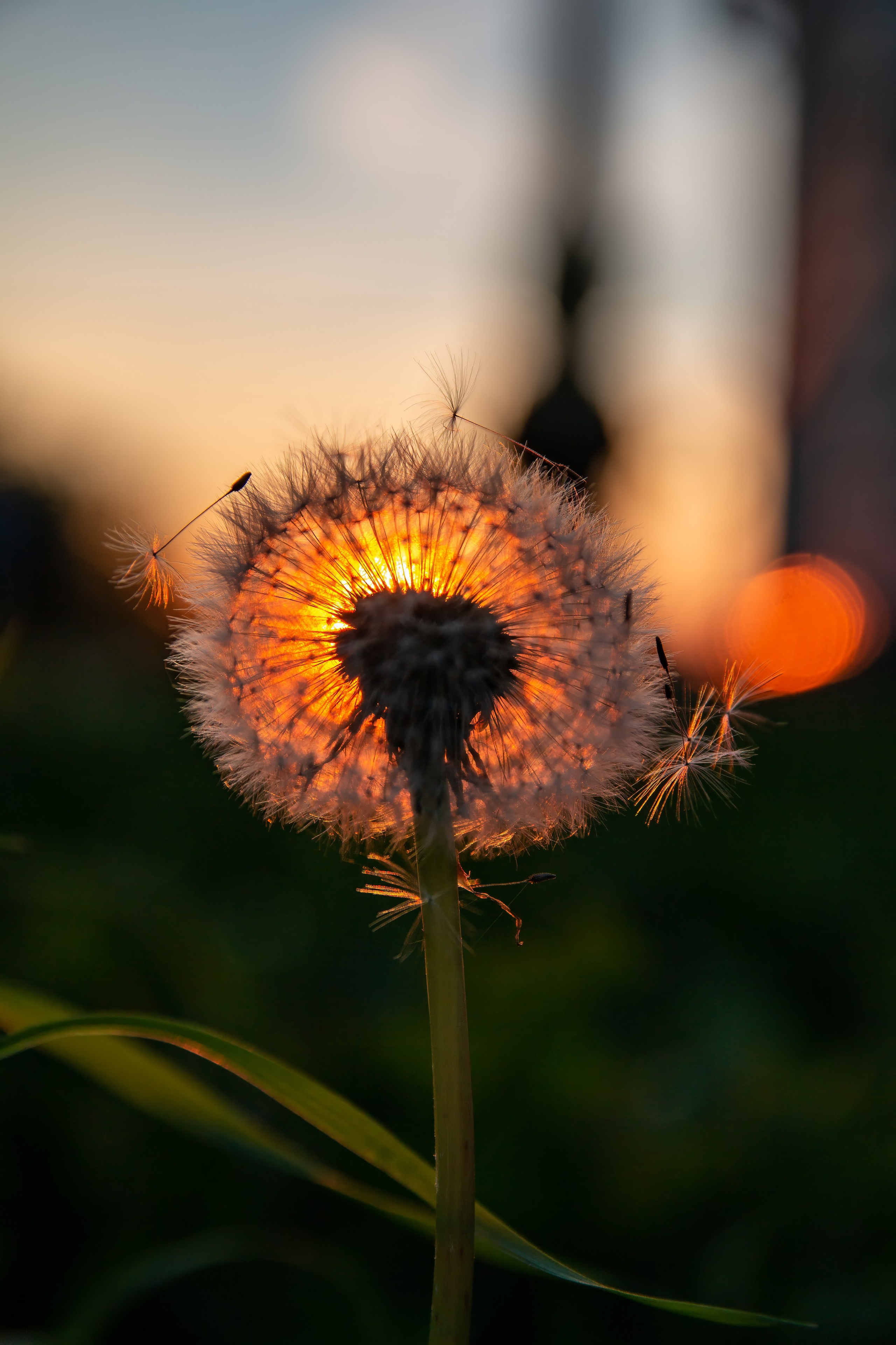 Осень. Ваш фотограф Северск | Томск