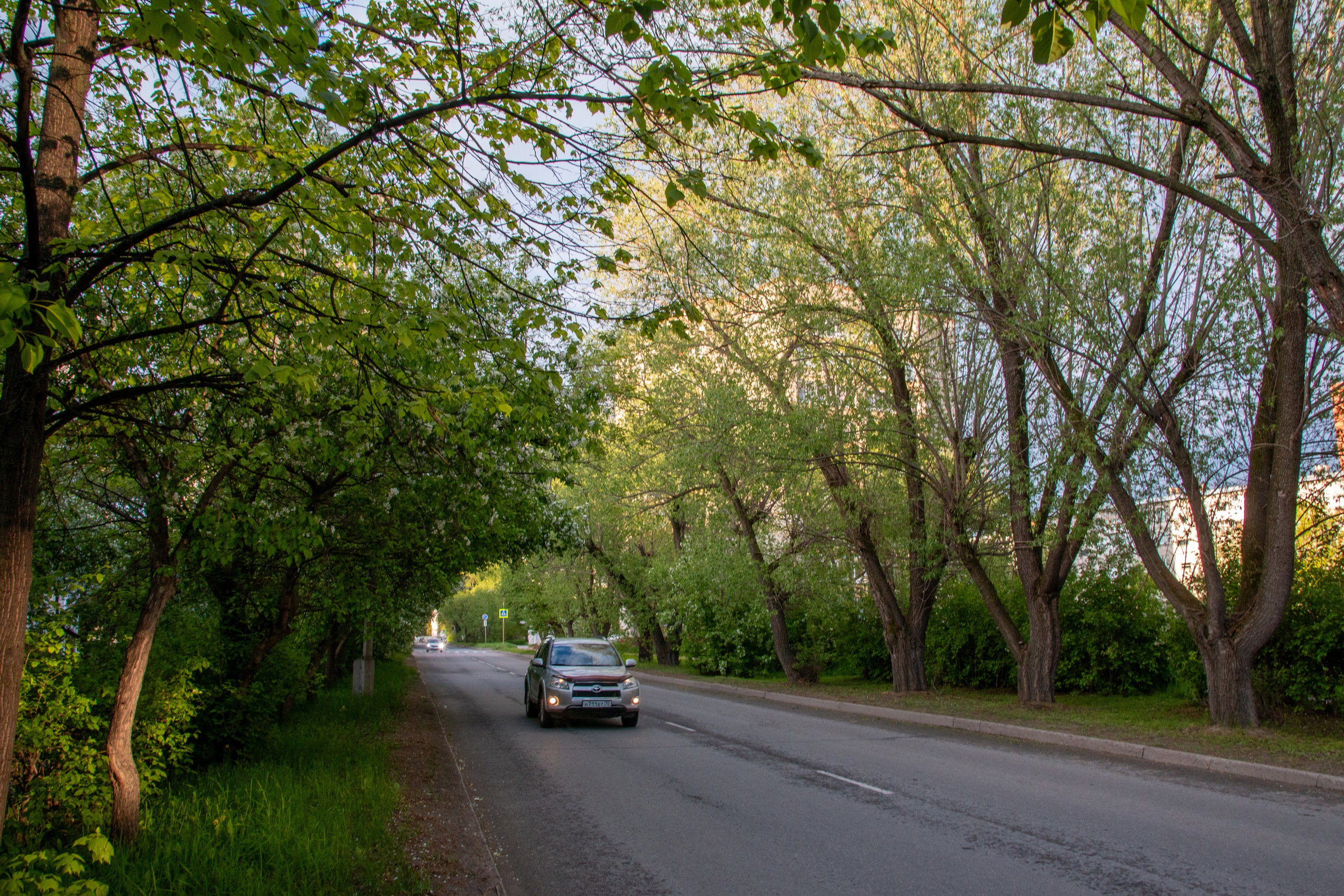 Весна. Ваш фотограф Северск | Томск