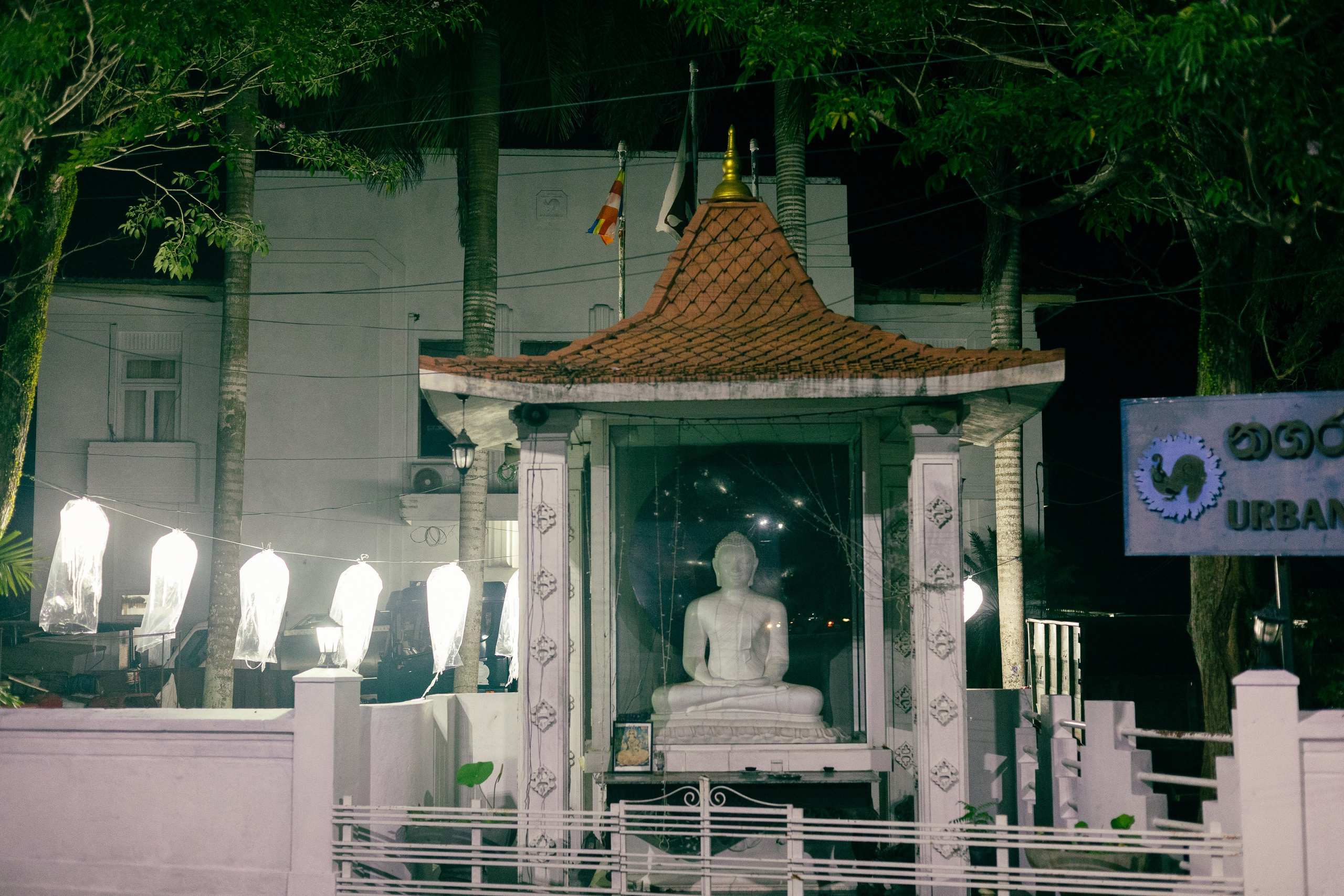 Vesak Poya 2023. Photographer Sonkina Tatiana (Tanya Ash)