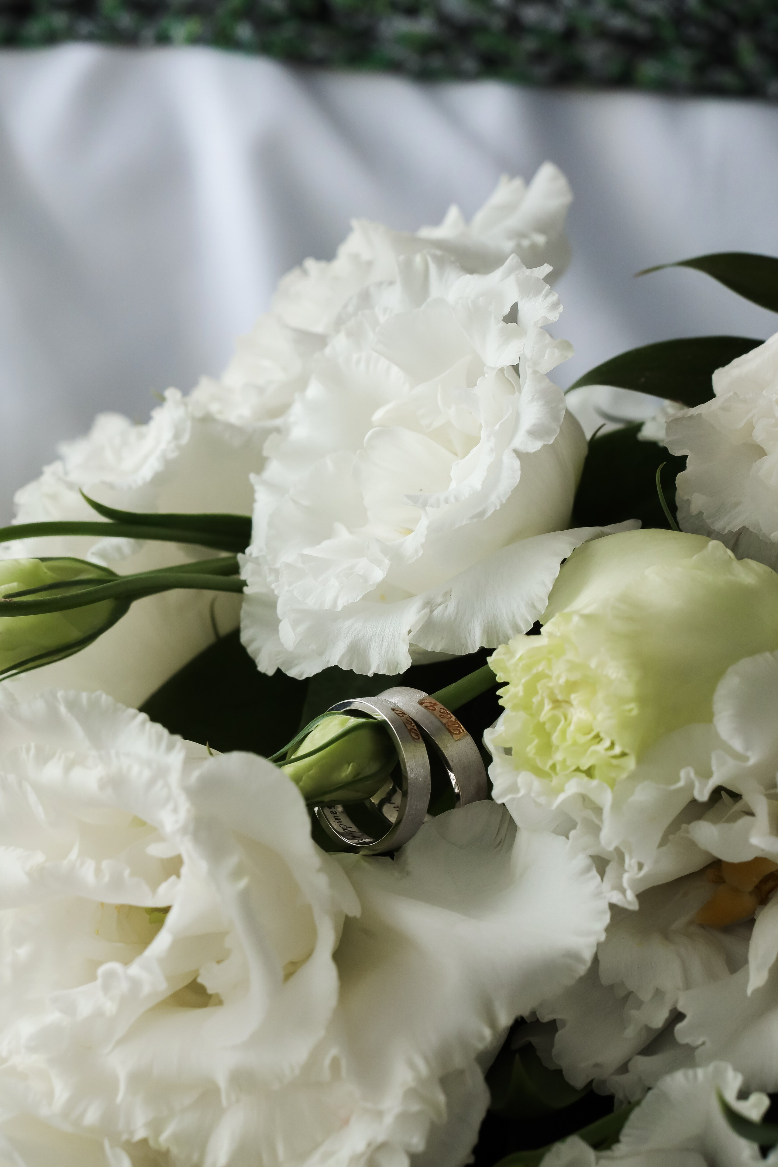 Portfolio. Свадебный фотограф Москва