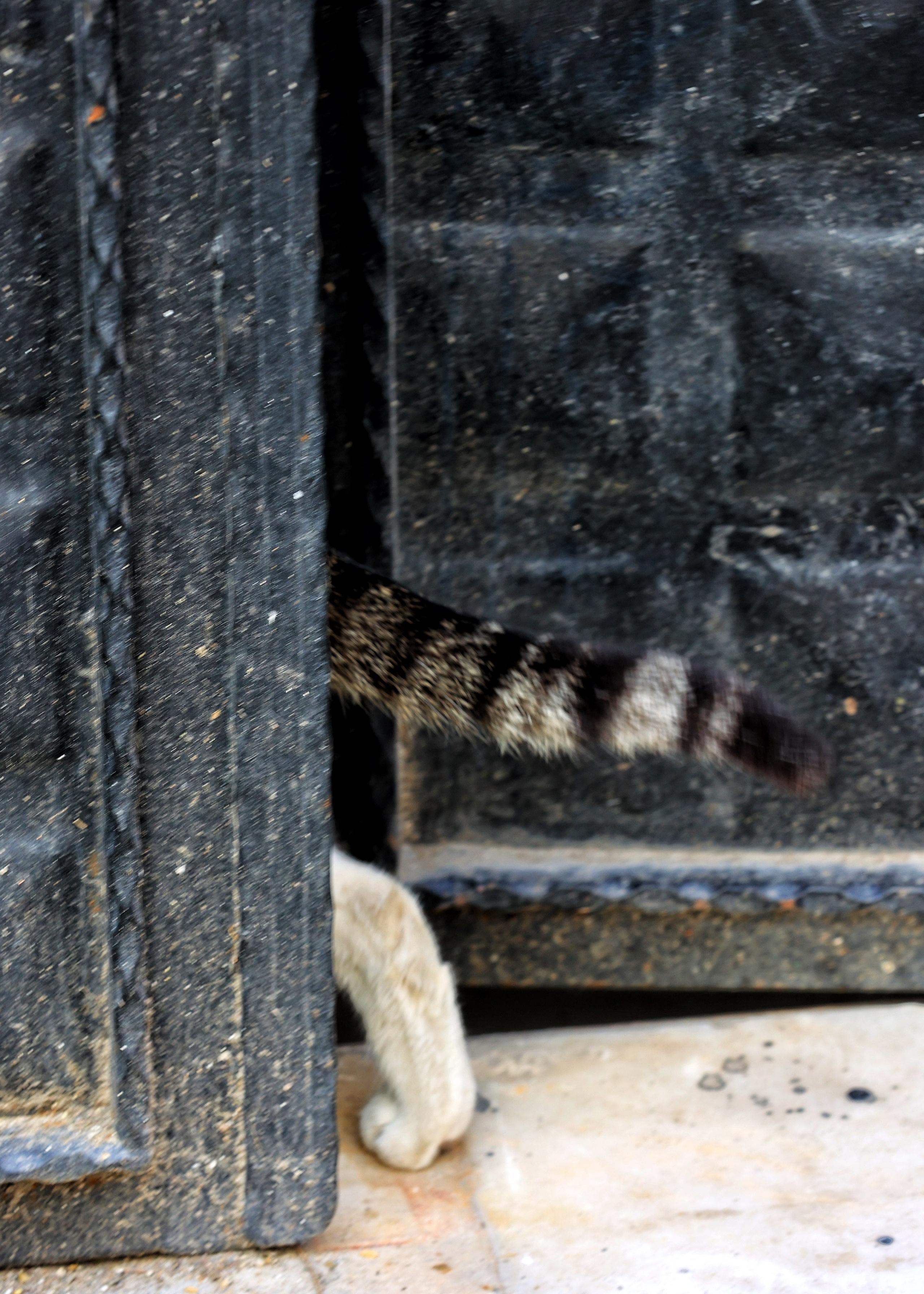 2025 год. Тащилин Сергей. Фотографии. Жизнь. Хобби