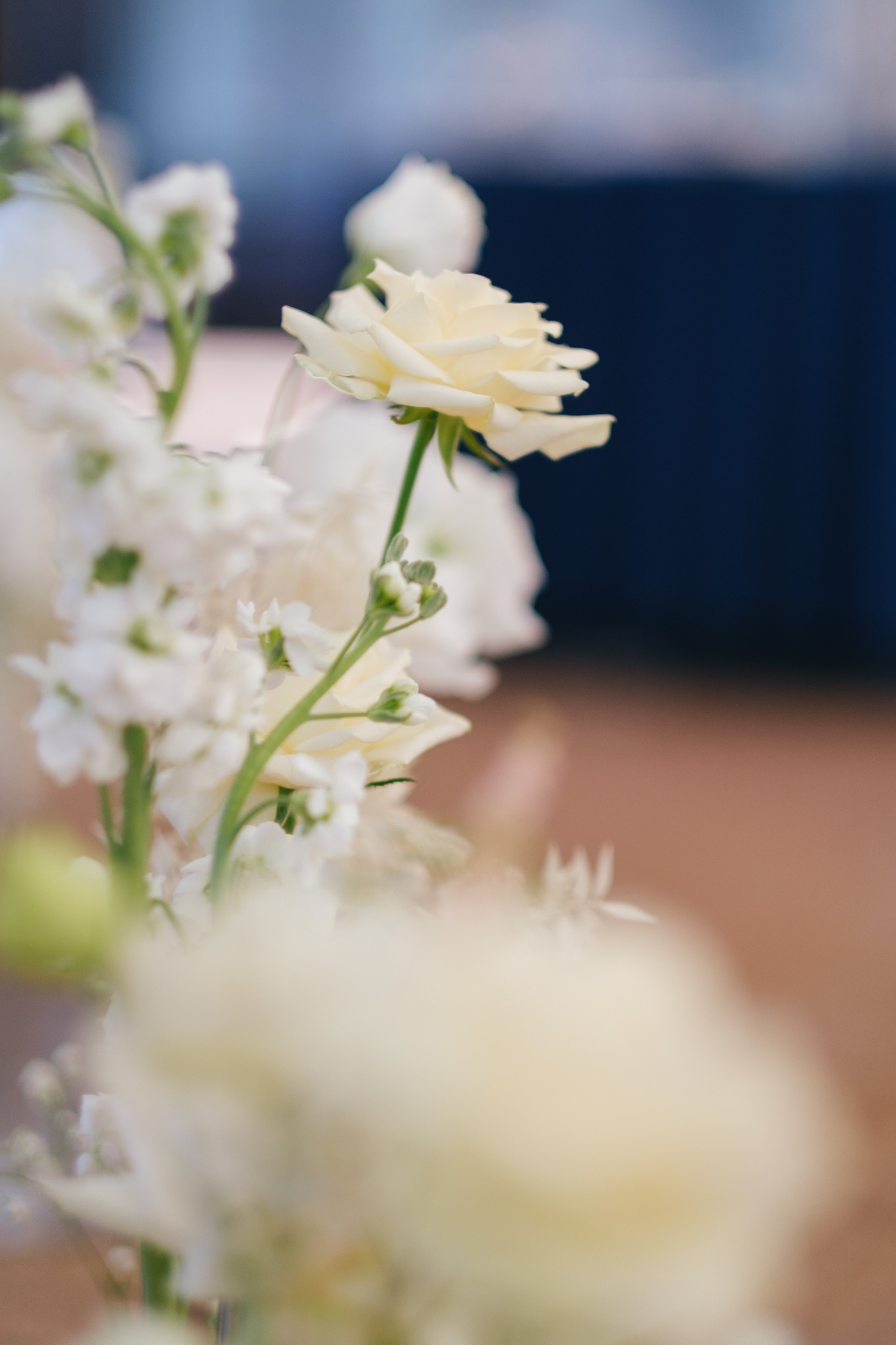 Сияние. Свадебный Видеограф Фотограф в Сочи