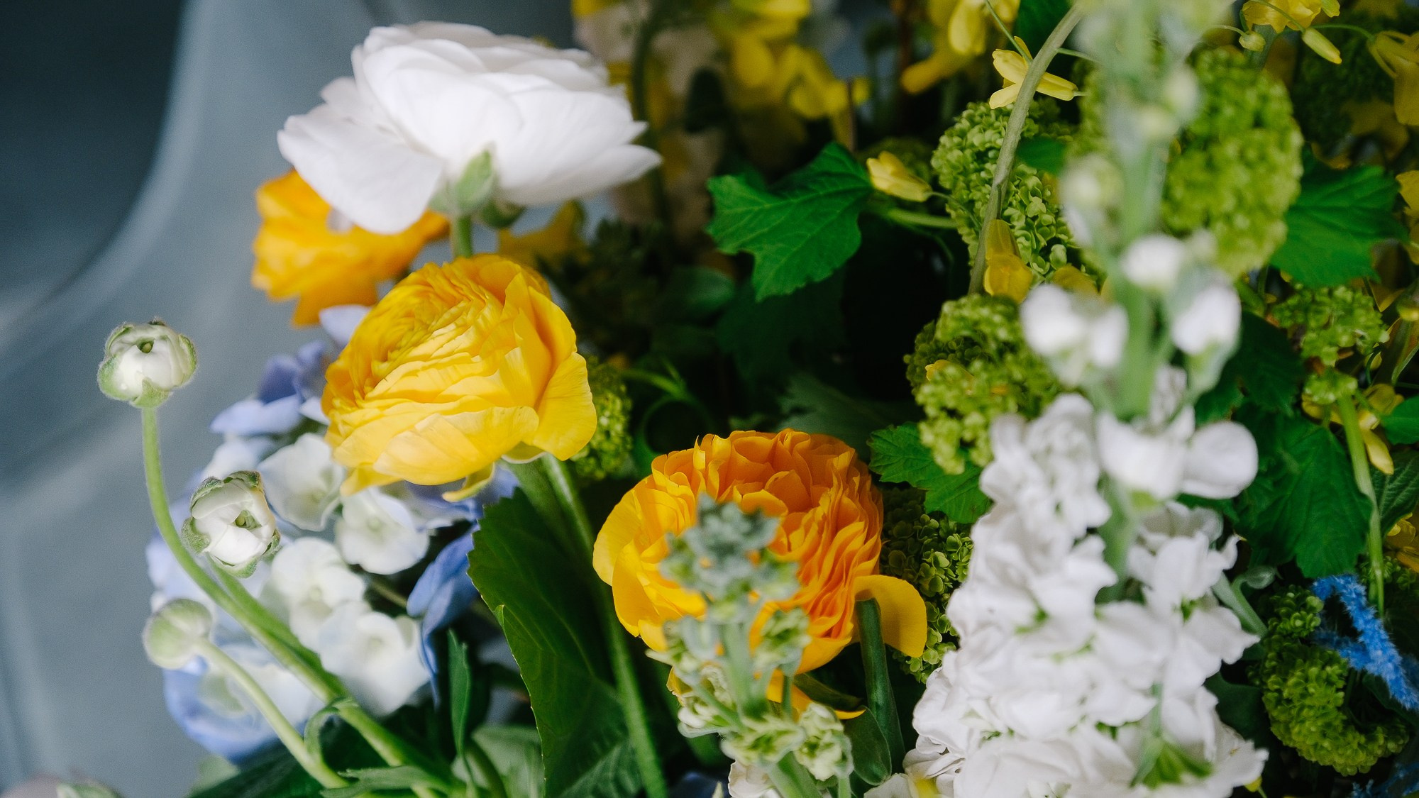 Итальяно. Свадебный Видеограф Фотограф в Сочи