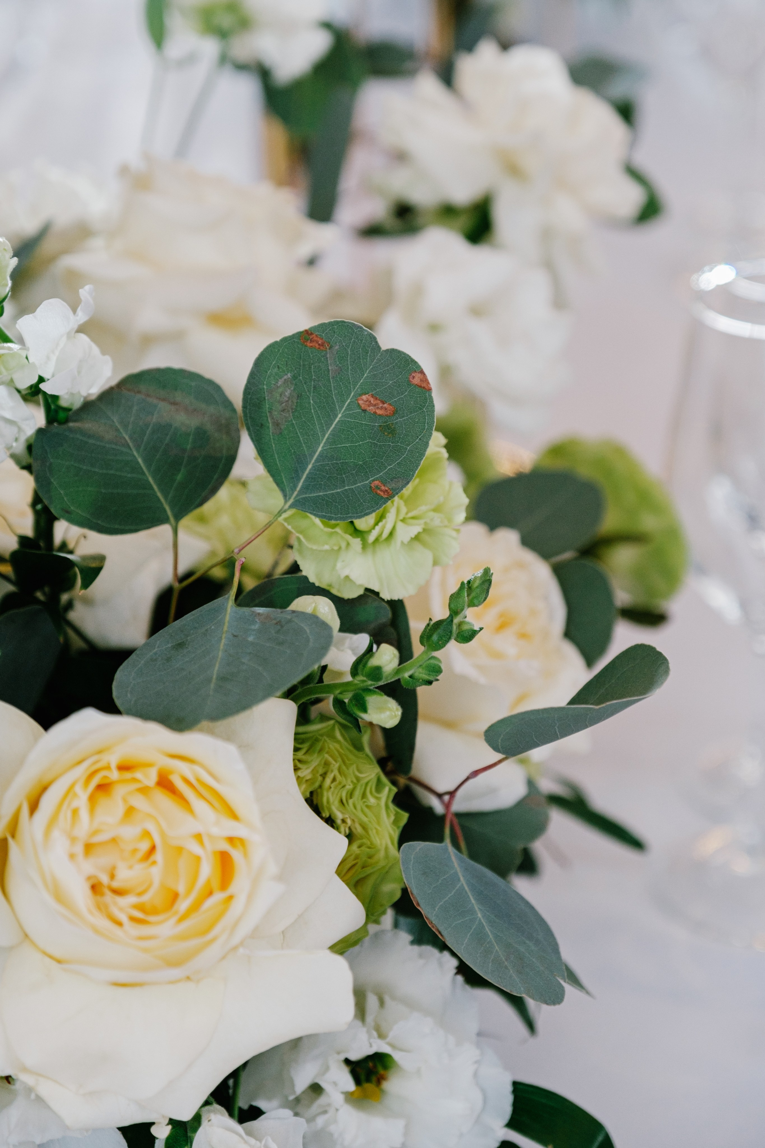 Виктория / Евгений. Свадебный Видеограф Фотограф в Сочи