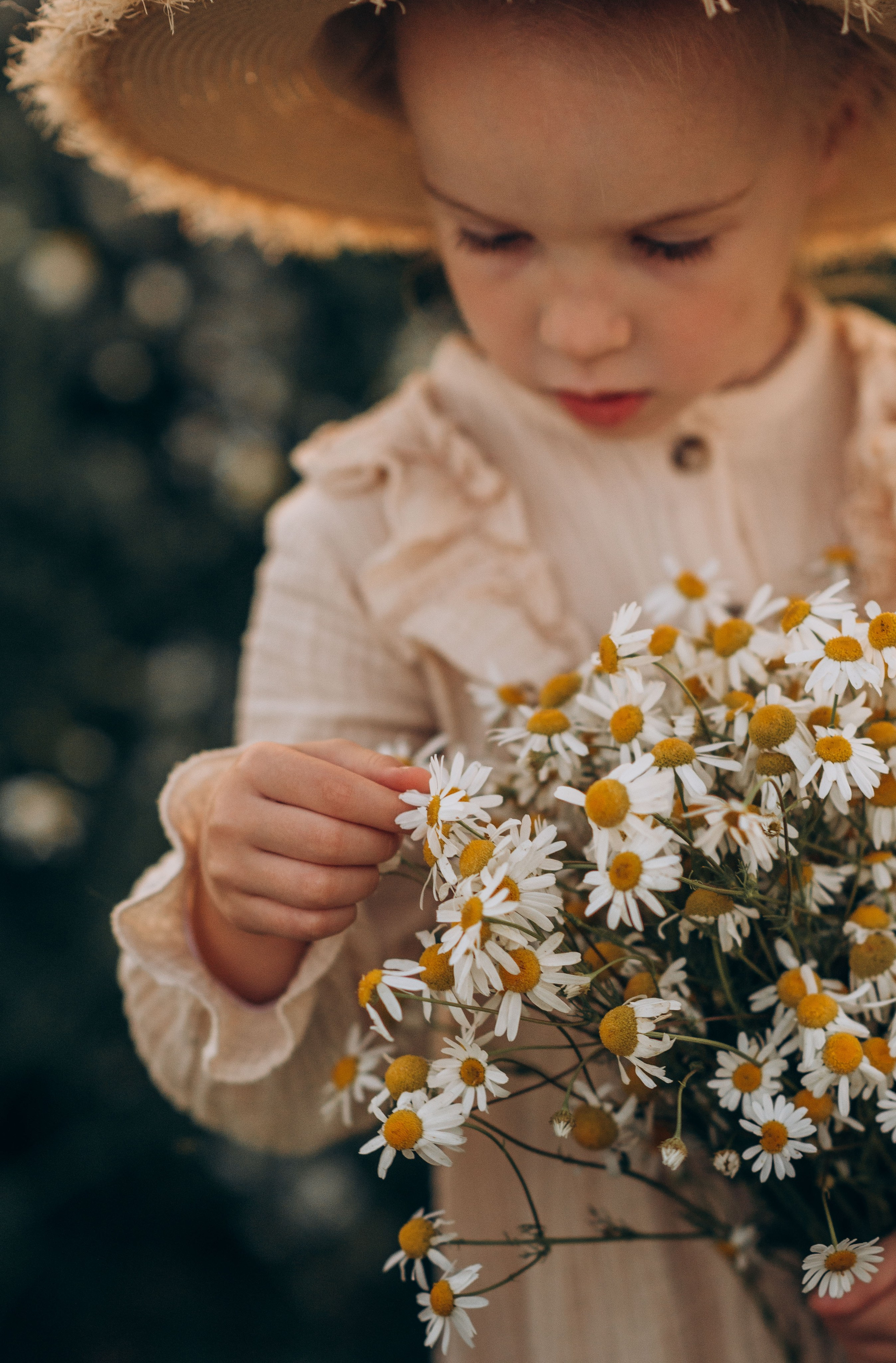 Закат в ромашках. Семейный фотограф в Домодедово и Москве Елена Пичугина