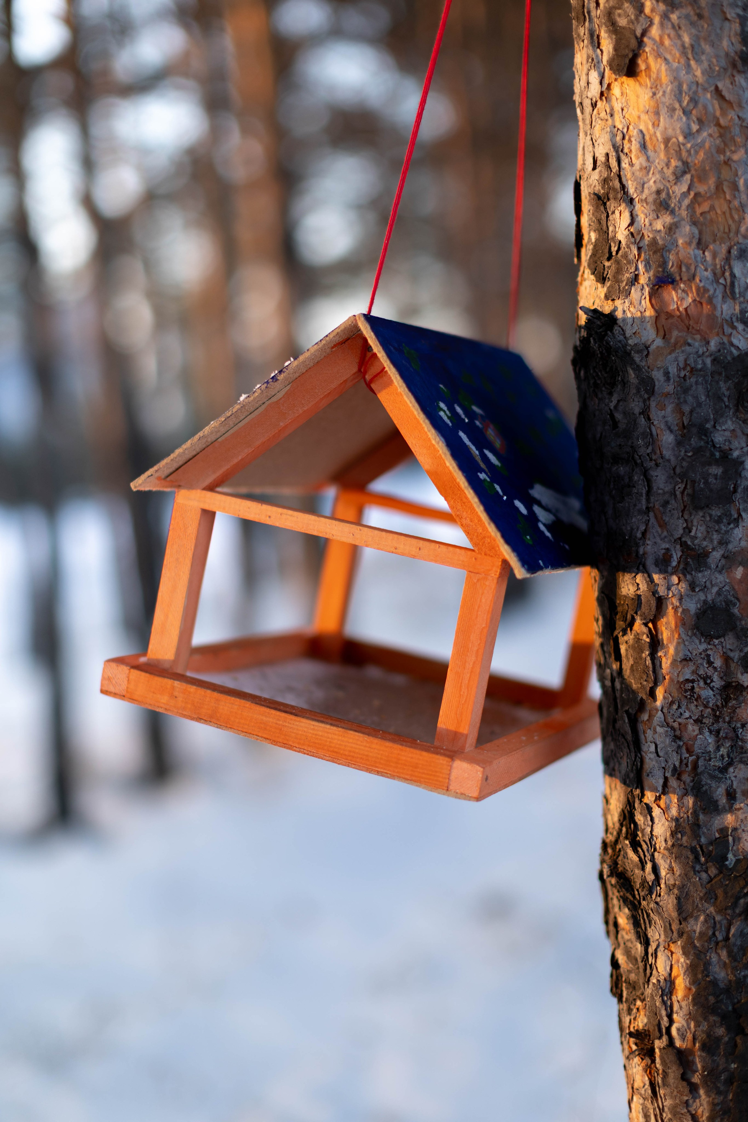 Зимняя прогулка. Art my Pho