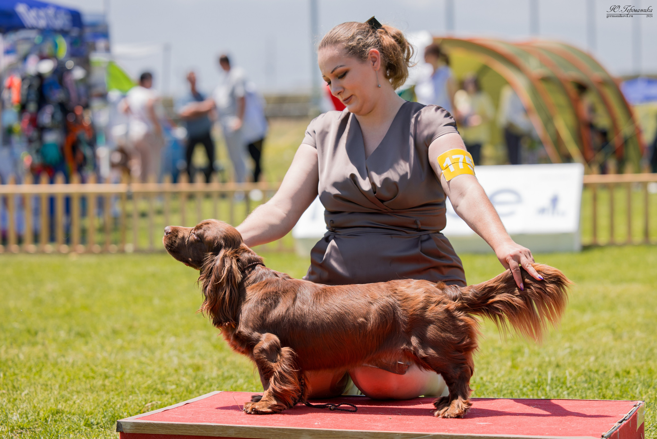 Ереван 3-5.06.2024. Фотограф-анималист Юлия Германика