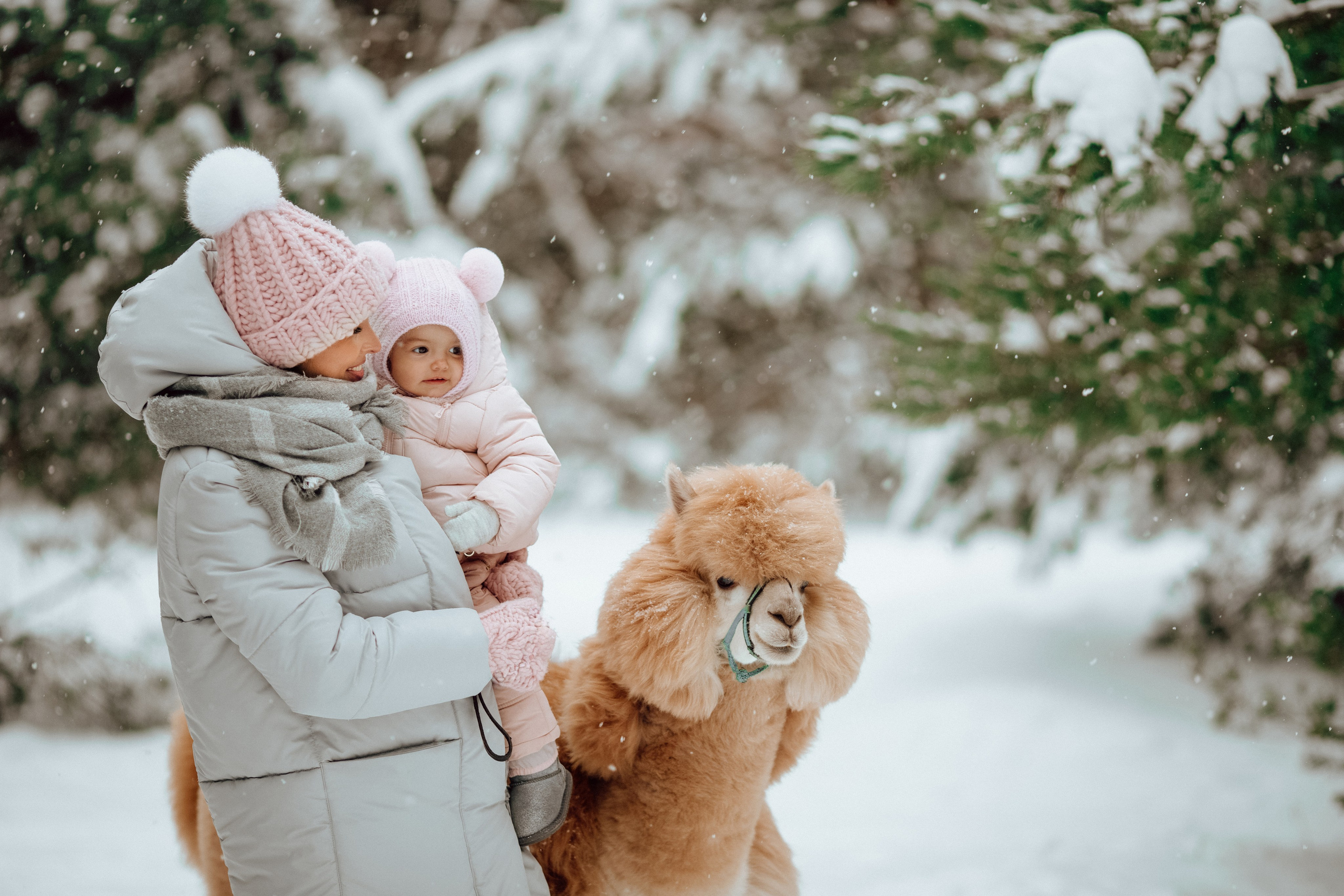 Семейные съемки. Алина Малышева, свадебный и семейный фотограф Москва