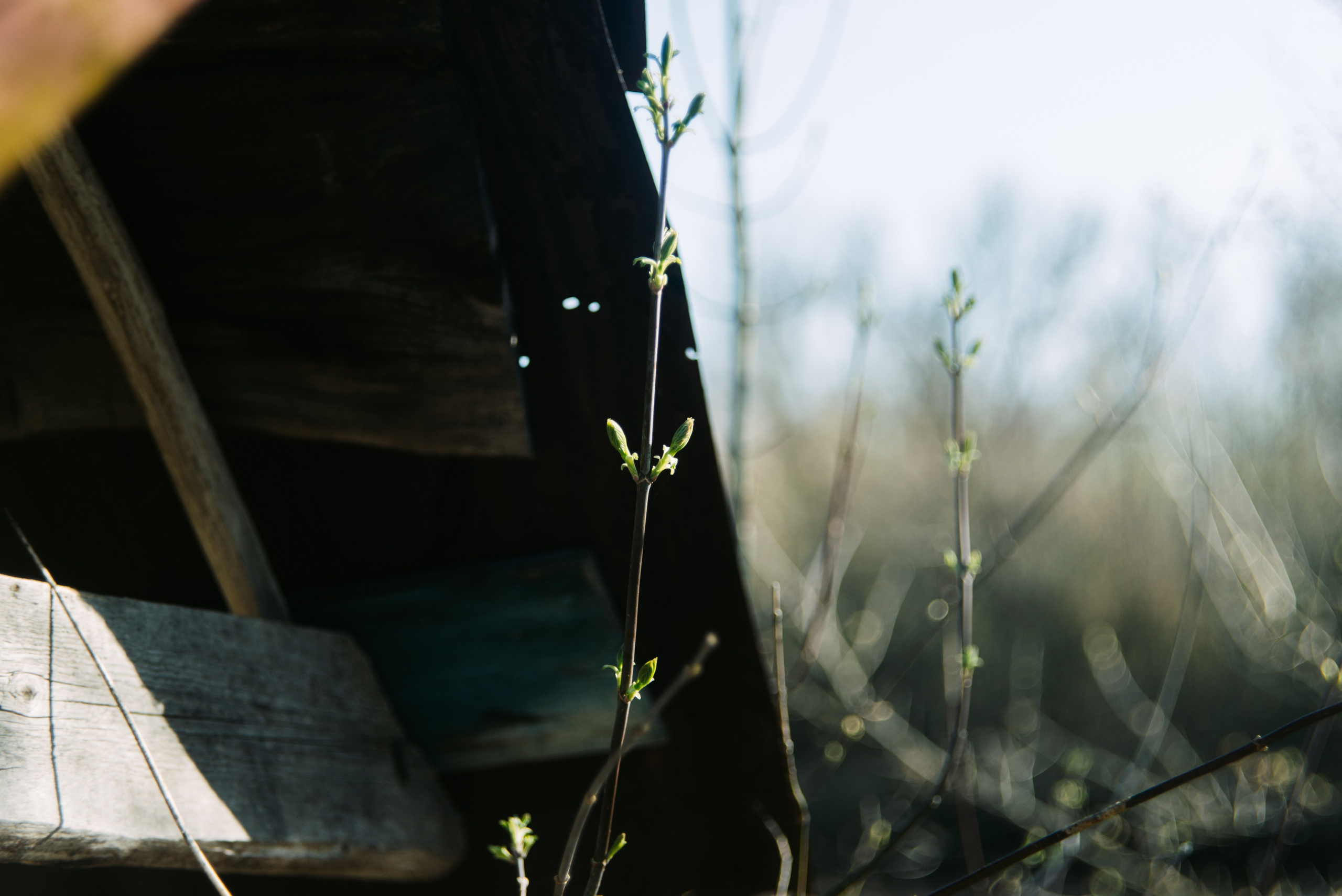 Орановка. Репортажный и портретный фотограф в Липецкой, Воронежской, Московской области Тёма Белоусов