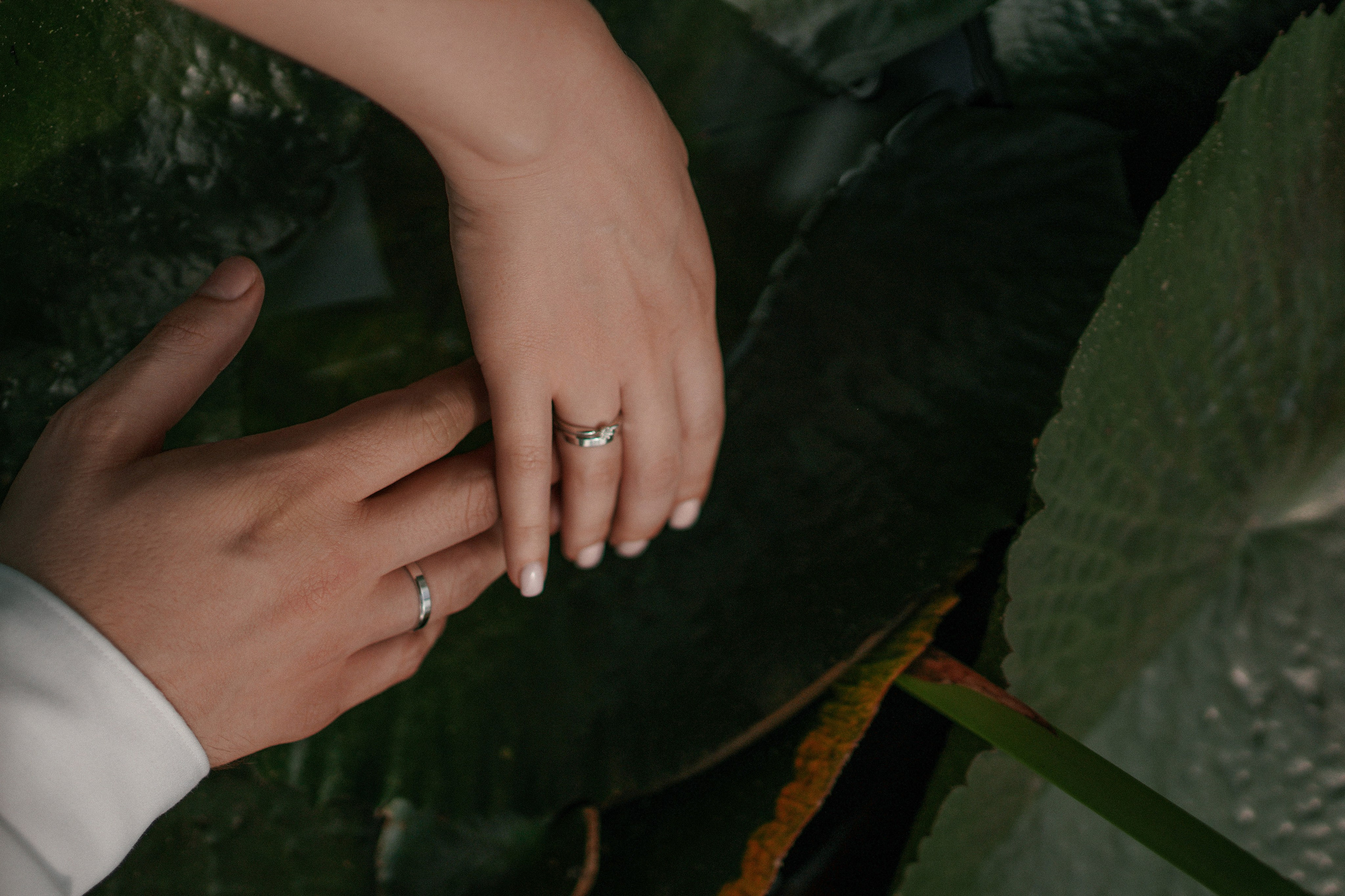 Данил и Валерия. Свадебный и семейный фотограф Афанасьева Анна в Кисловодске