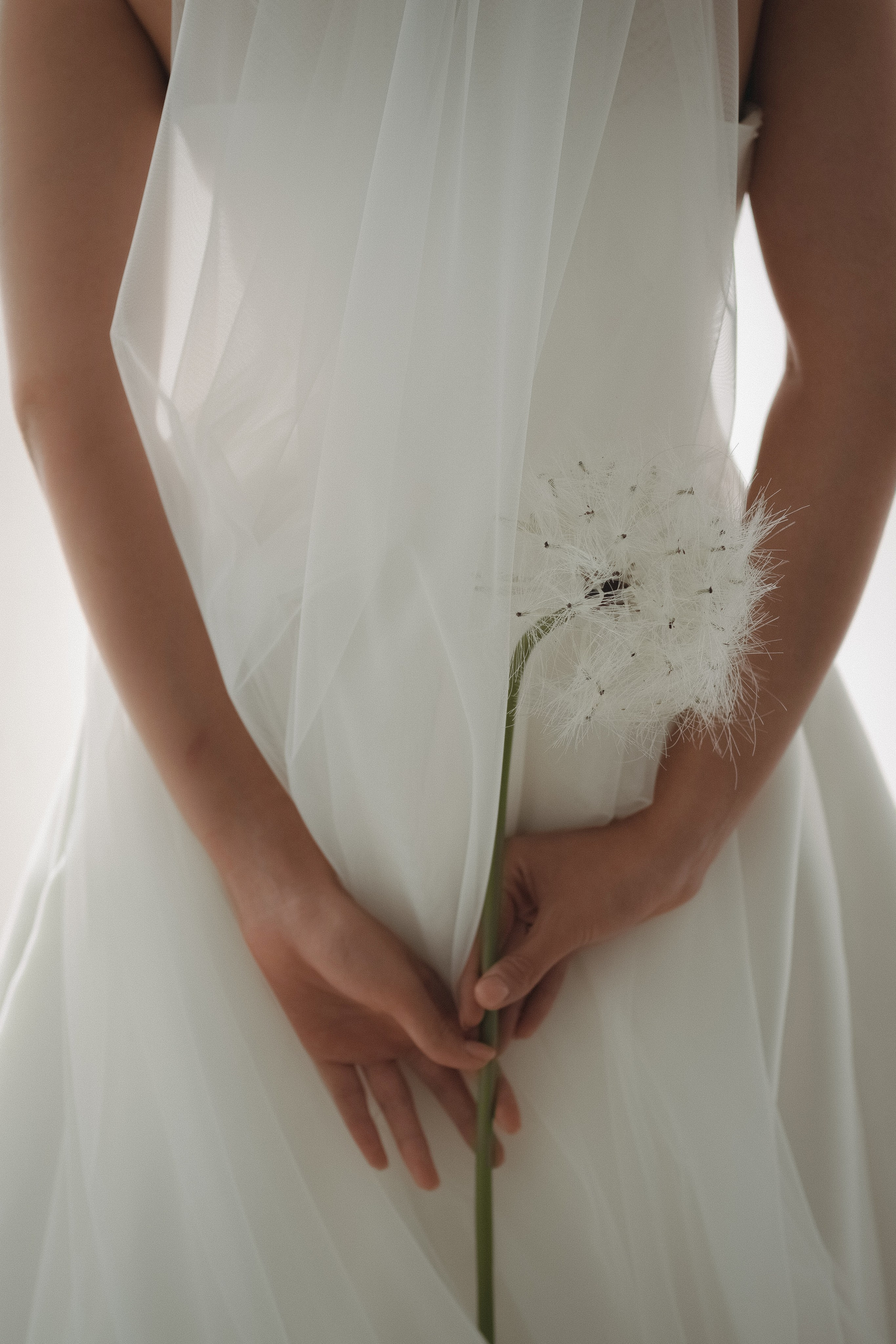 Семейное Солнце. Свадебный и семейный фотограф Афанасьева Анна в Кисловодске