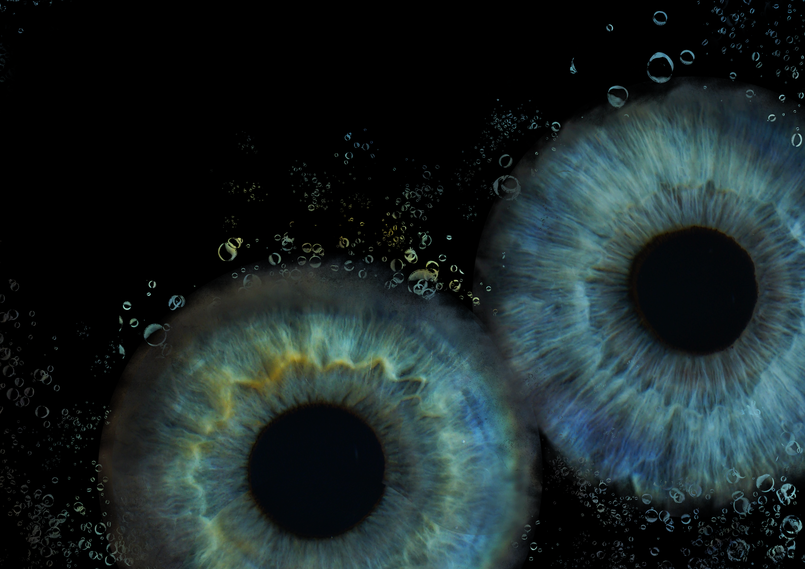 Дарья 11021640. ShowLab