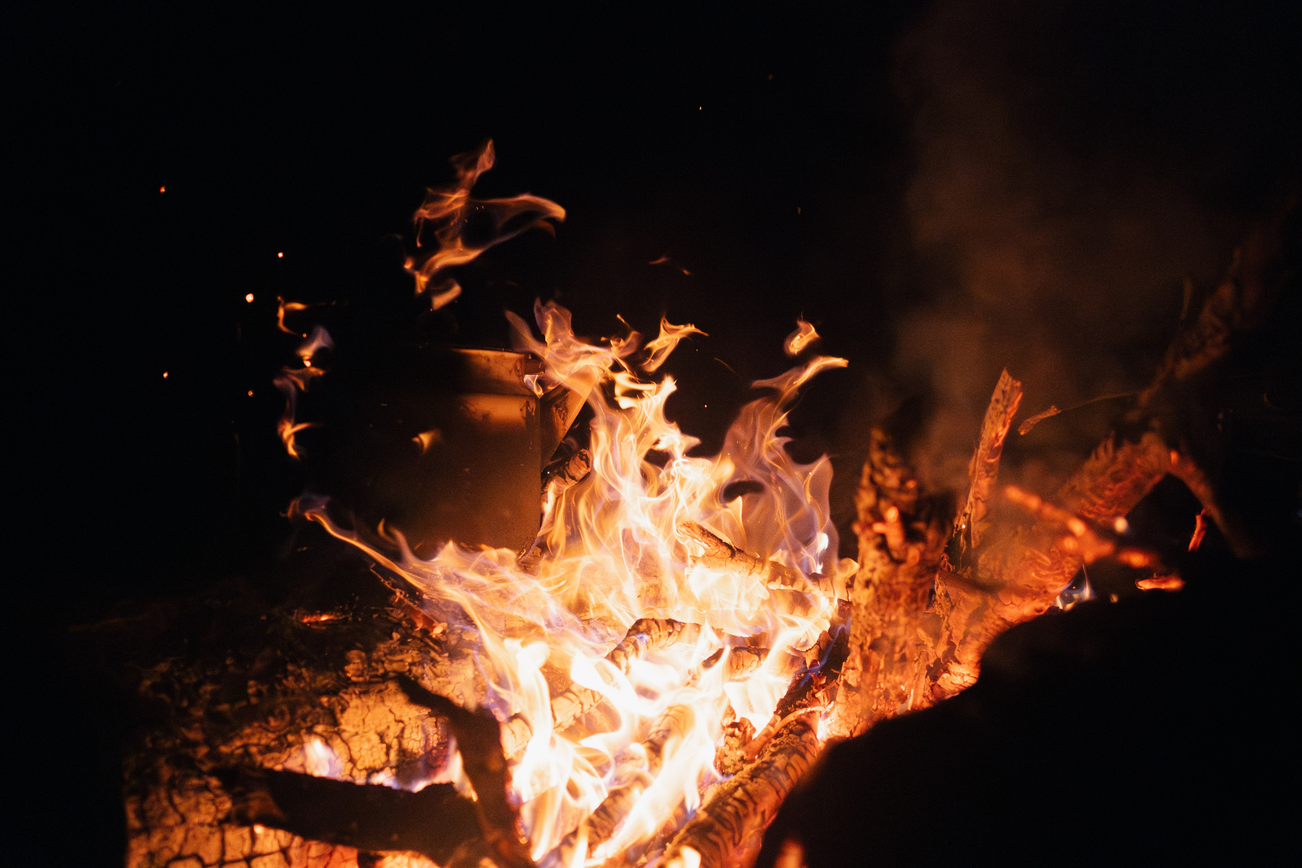 Иван Оленичев — фото портфолио 2025. Репортажный фотограф в Москве