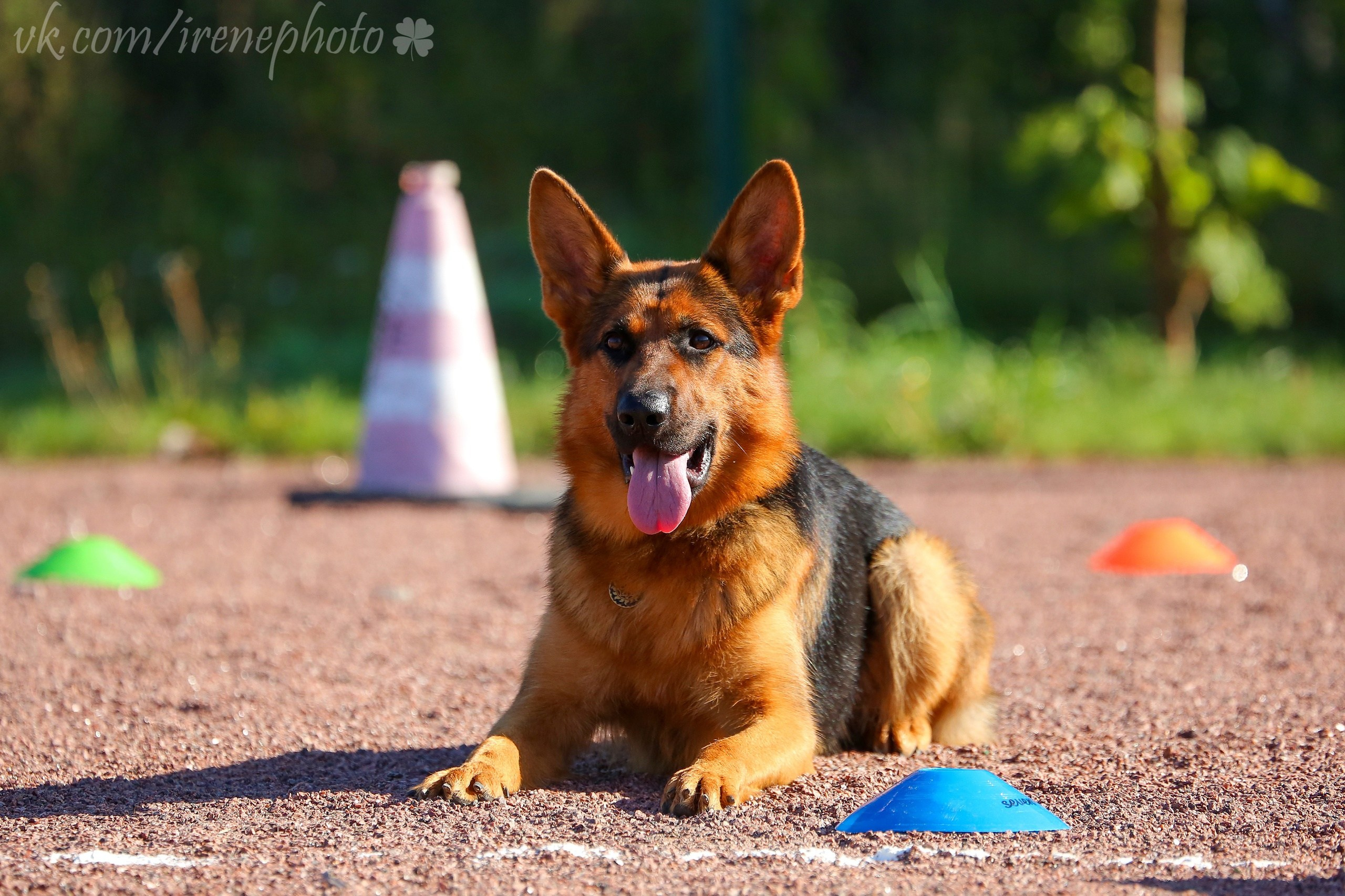 Остановка из движения. Irenephoto.ru