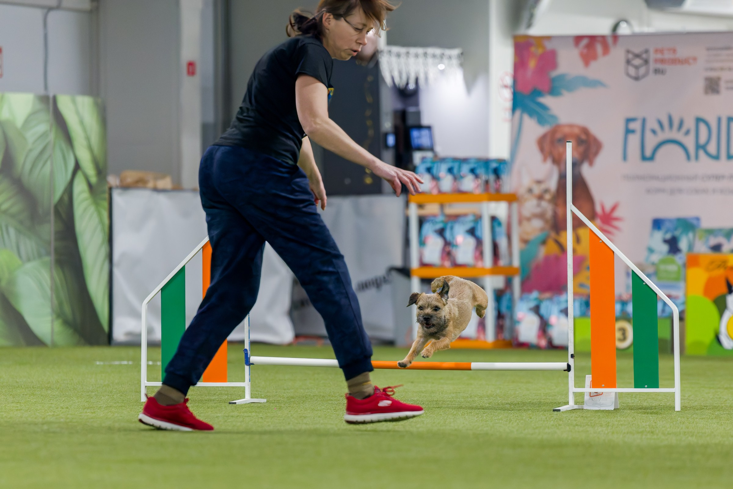 День рождения Пёсбурга — февраль 2025. Irenephoto.ru