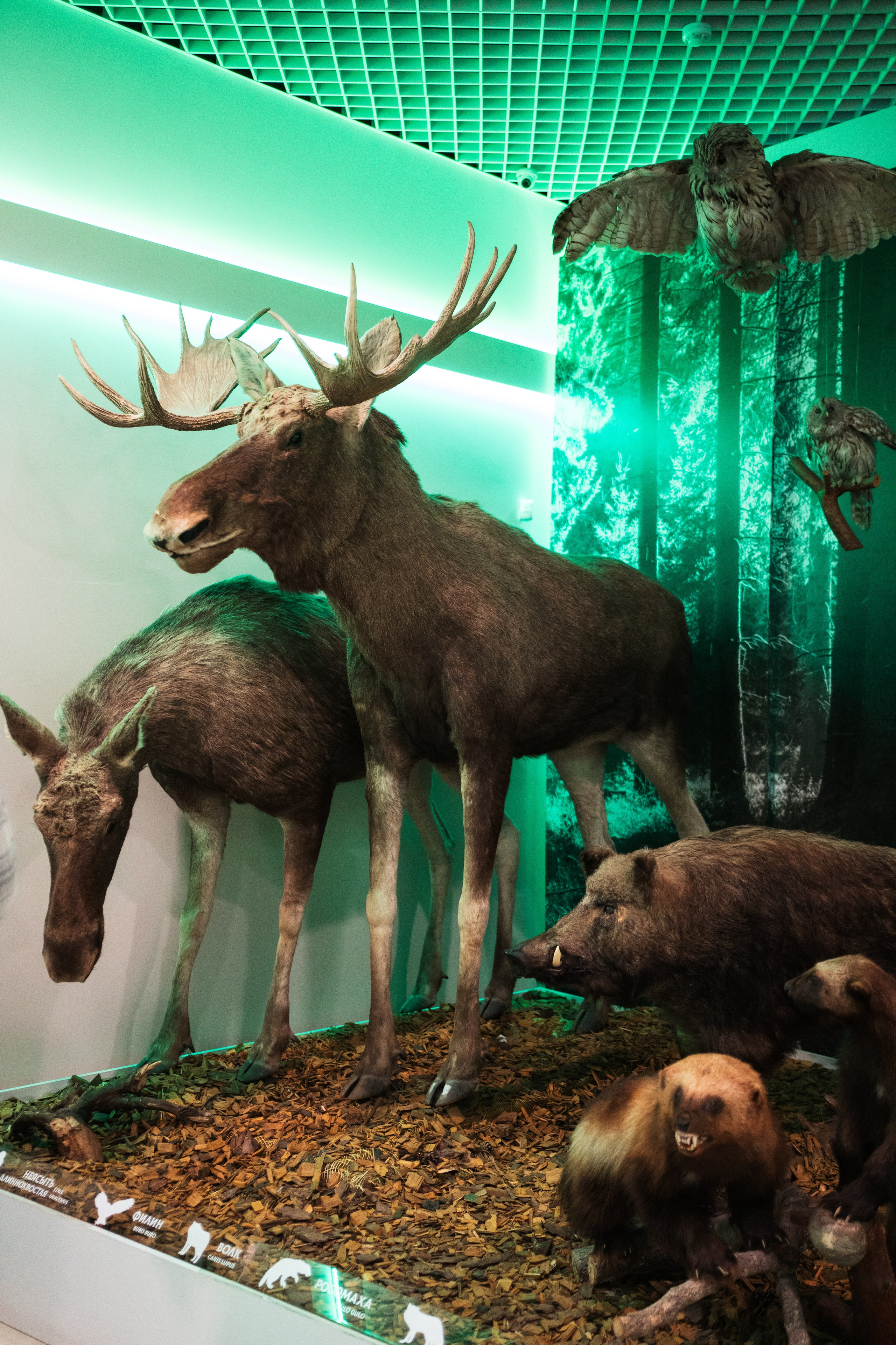 Ночь музеев 2024. Фотограф на любое событие в Кемерово