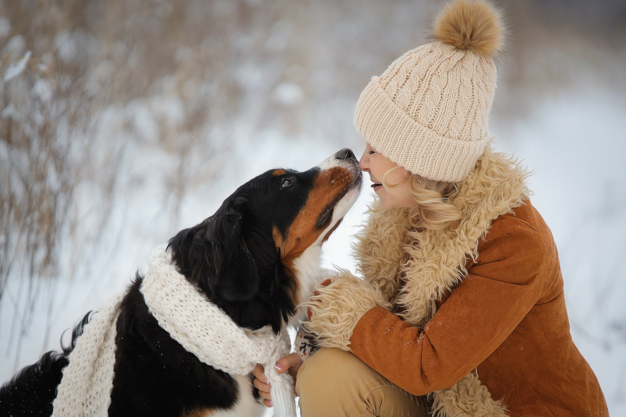 Четвероногие друзья. Репортажный, семейный, школьный фотограф в Иванове Инна Крылова