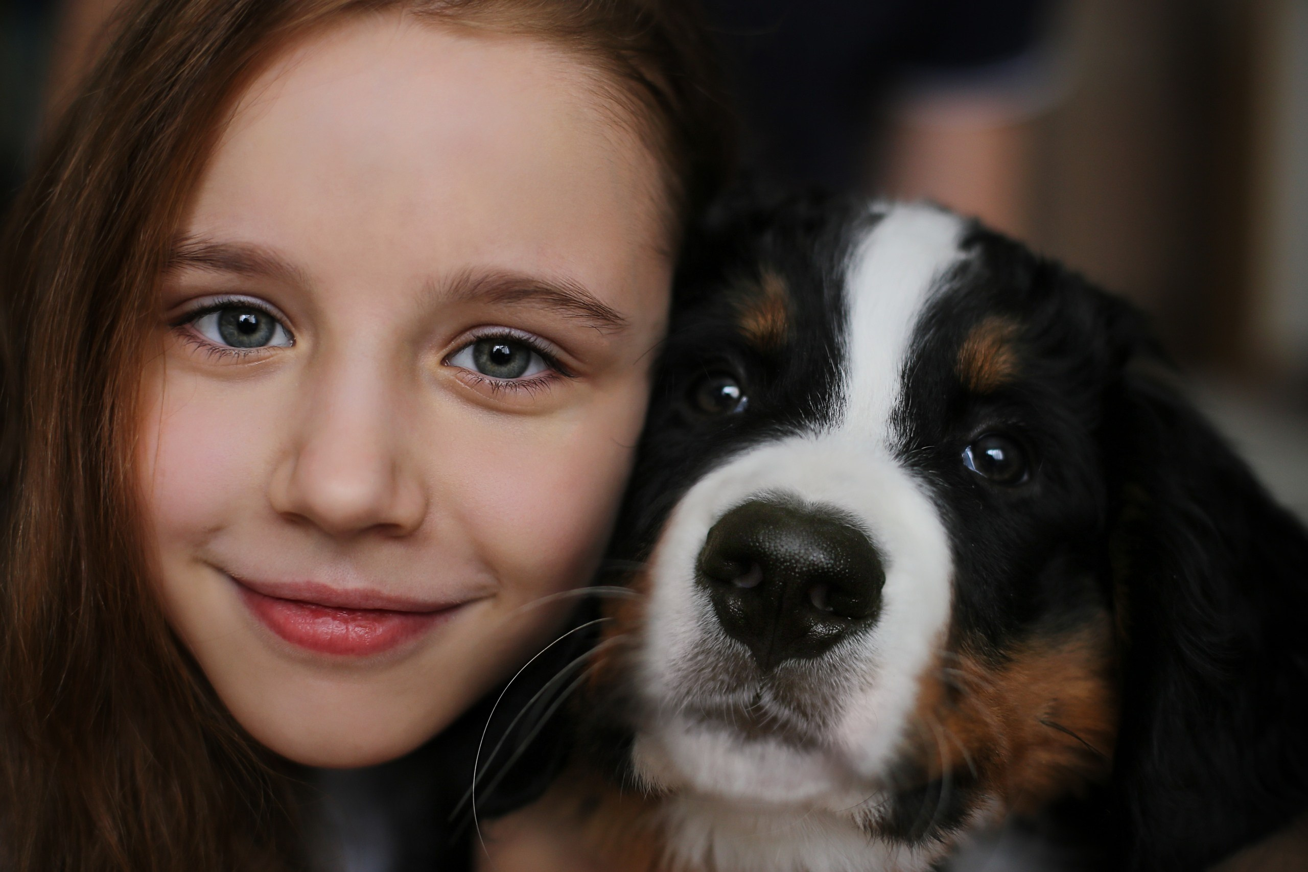 Четвероногие друзья. Репортажный, семейный, школьный фотограф в Иванове Инна Крылова