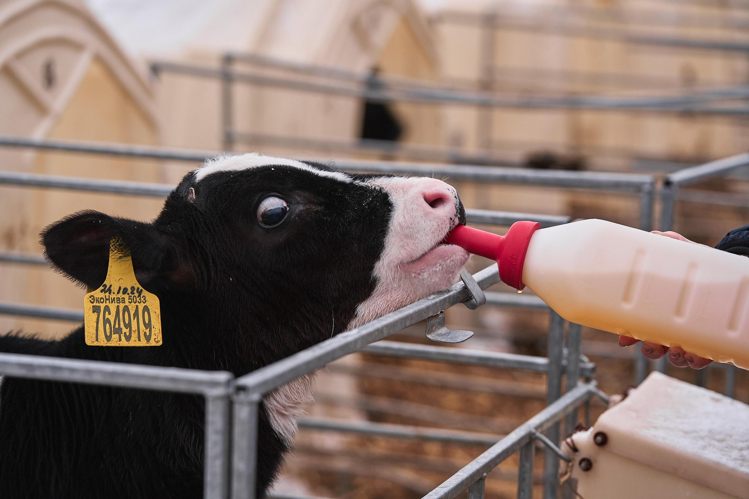 Выставки, ивенты. Фотограф и оператор мероприятий, концертов и портретов в городе Москва