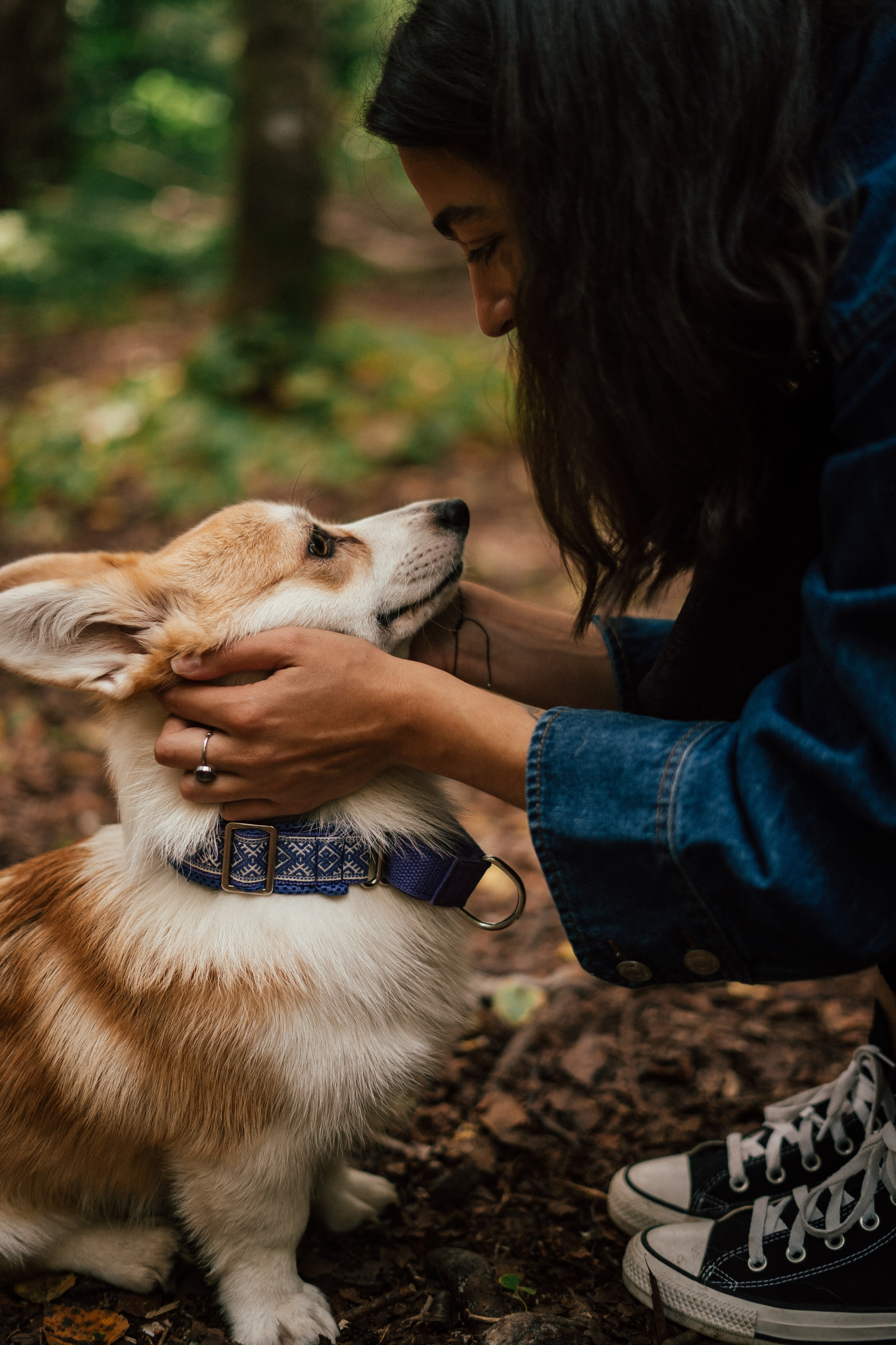 Фотосессия с собакой сахалин. Фотограф сахалин