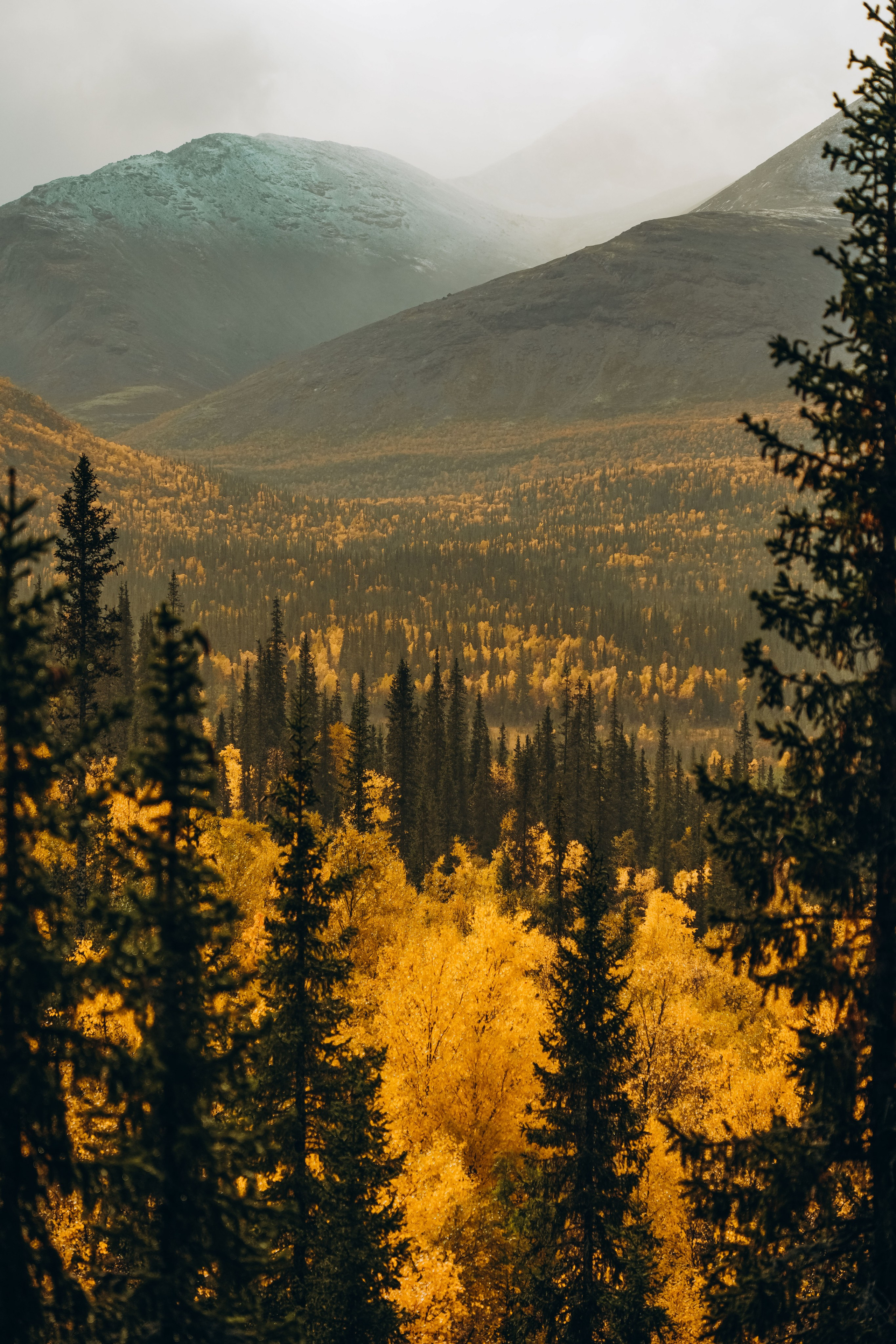 СЕВЕР. Event фотограф Степанова Александра