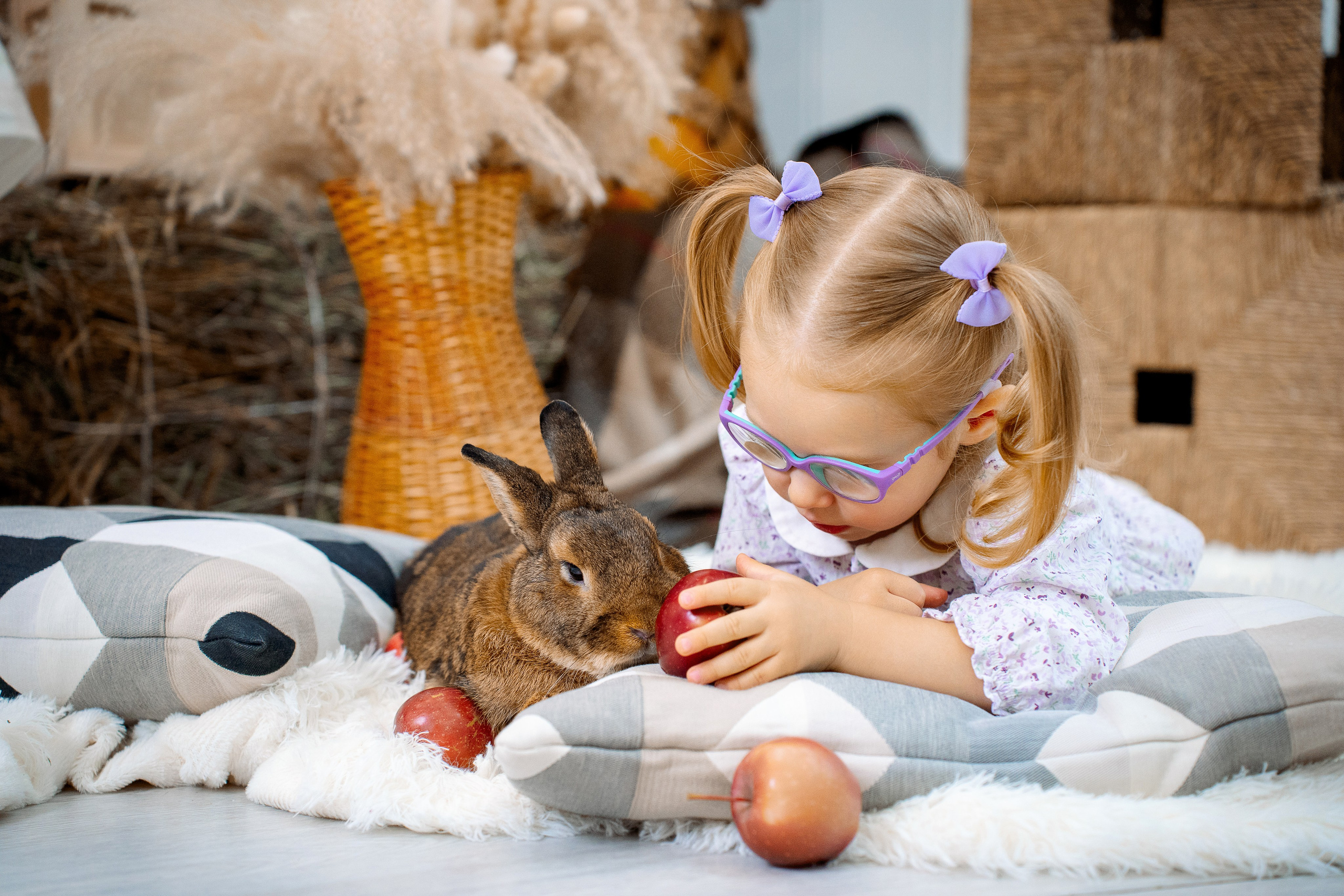 Кролик. Фотограф Казакова Анастасия