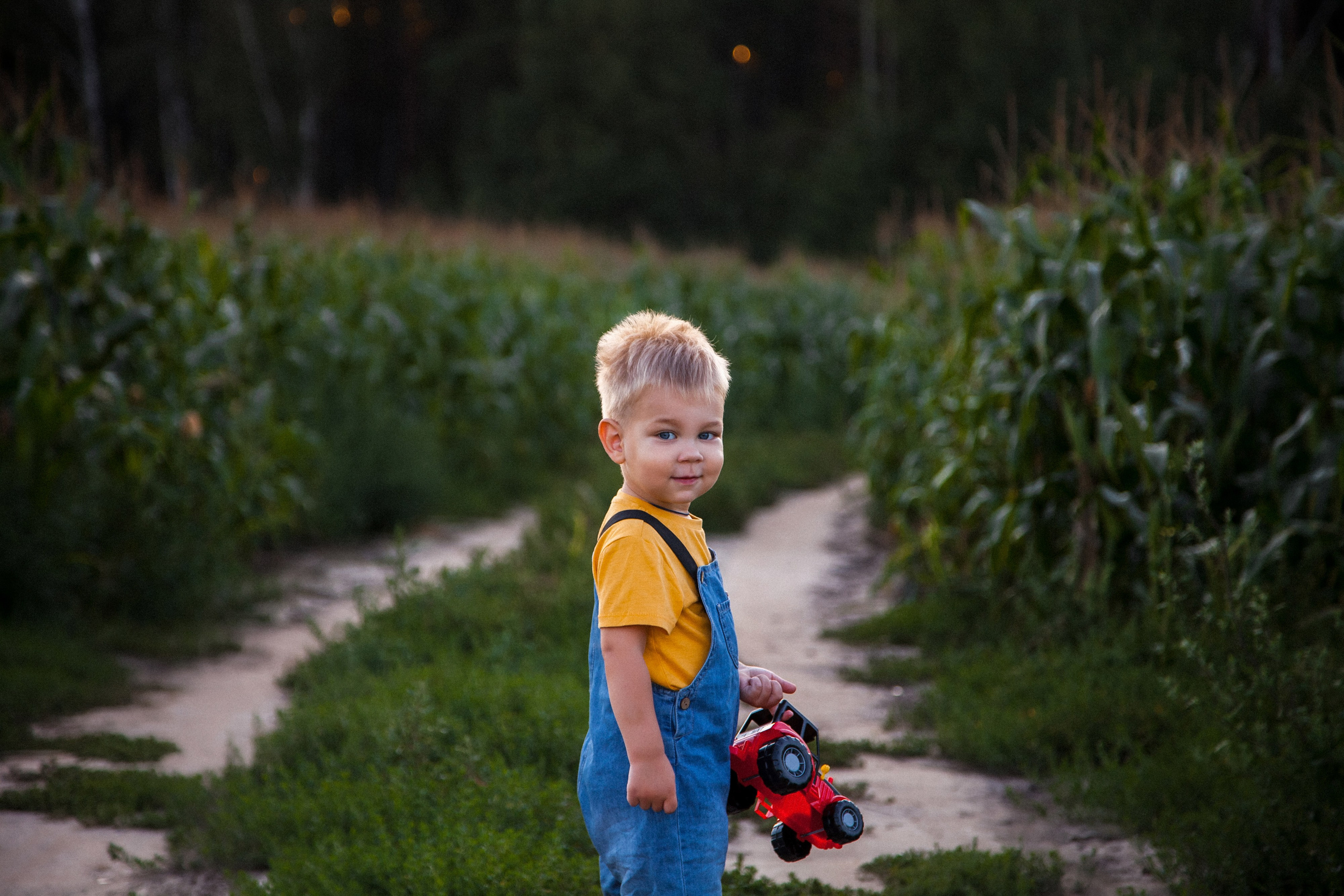 Миша и Маша. Портретный, семейный, свадебный фотограф в Брянске Маргарита Василькова