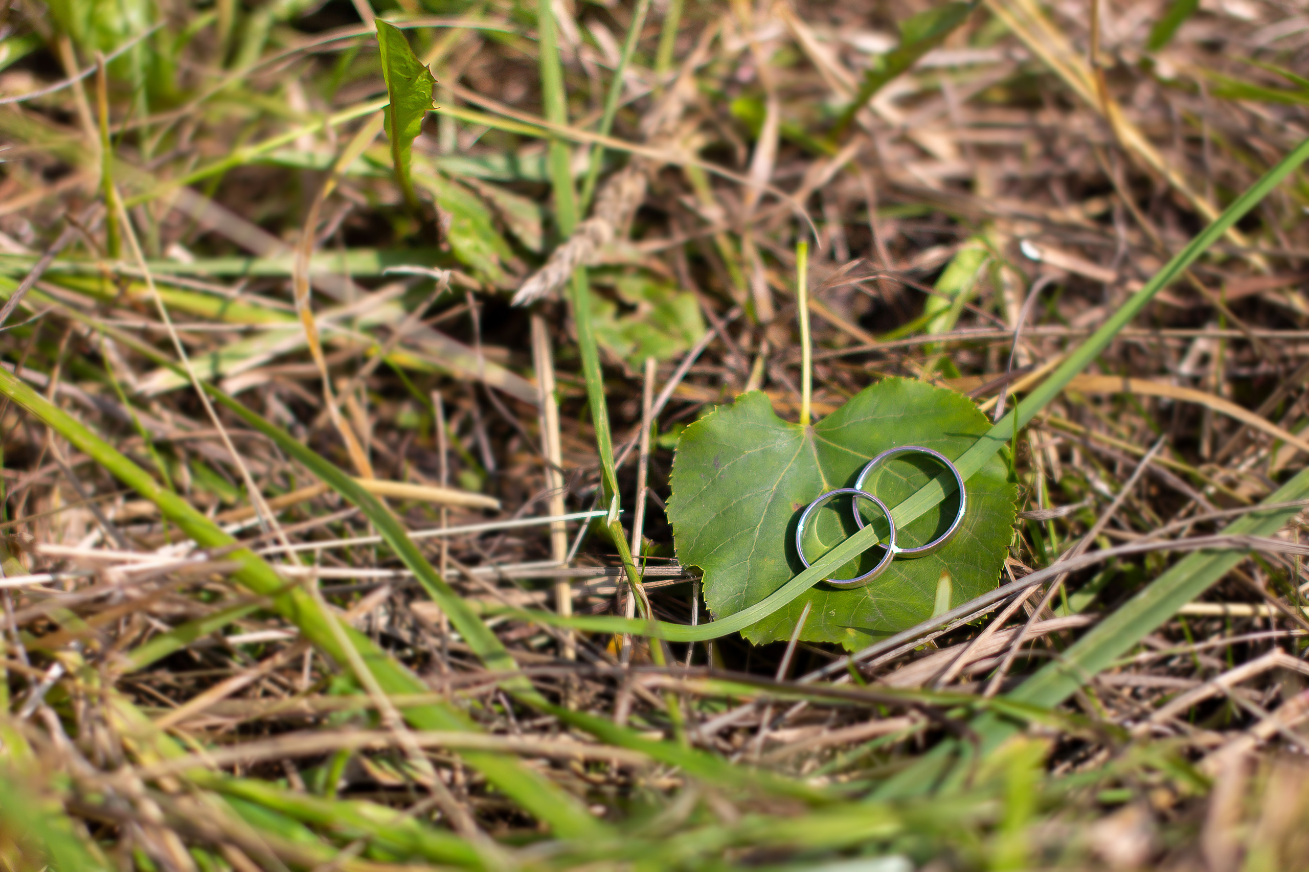 Свадьбы. Фотограф Алёна Финашова