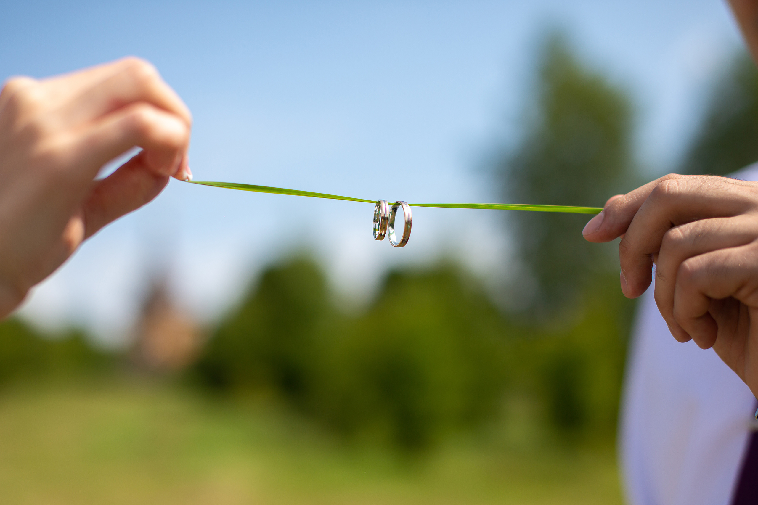 Свадьбы. Фотограф Алёна Финашова