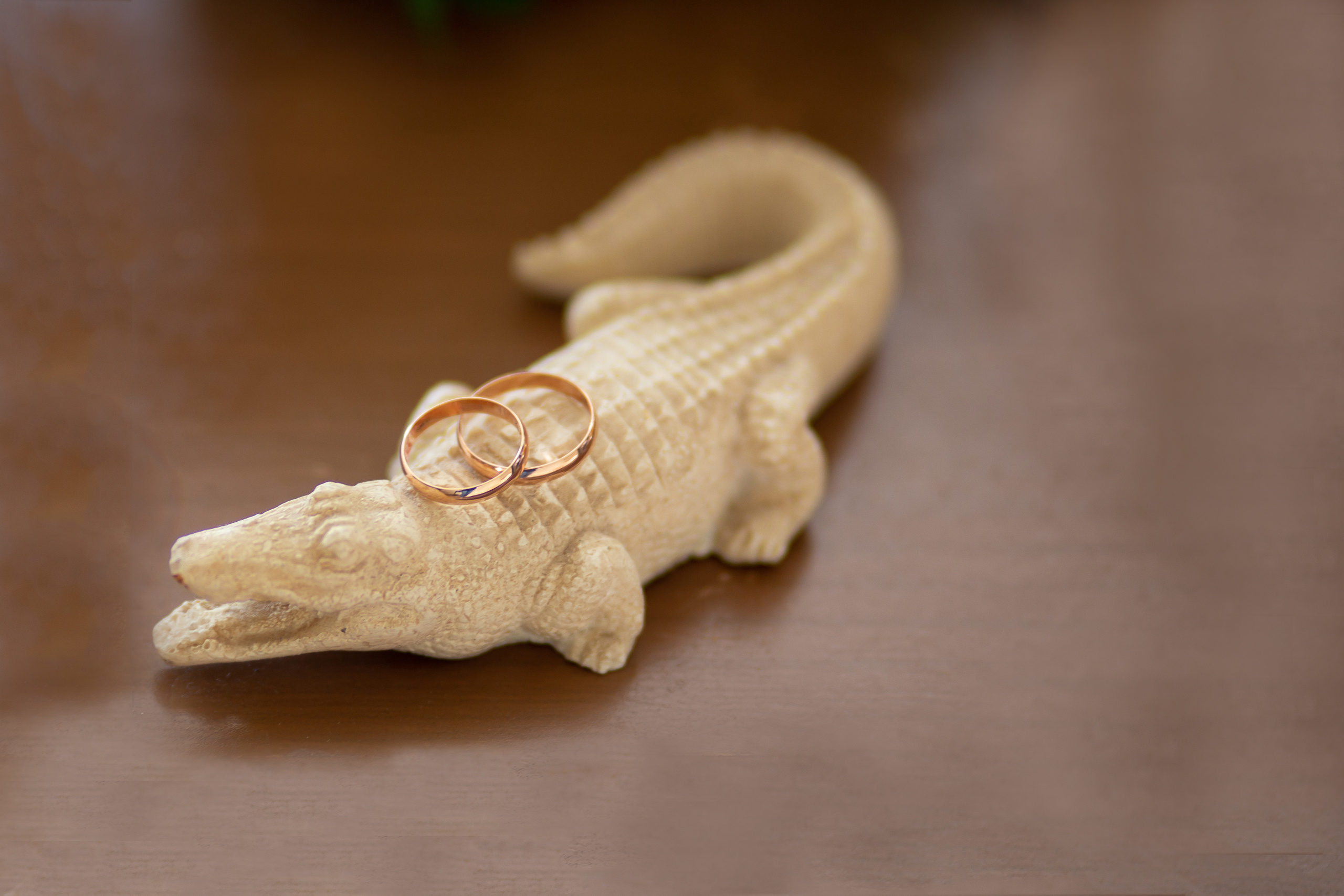 Свадьбы. Фотограф Алёна Финашова