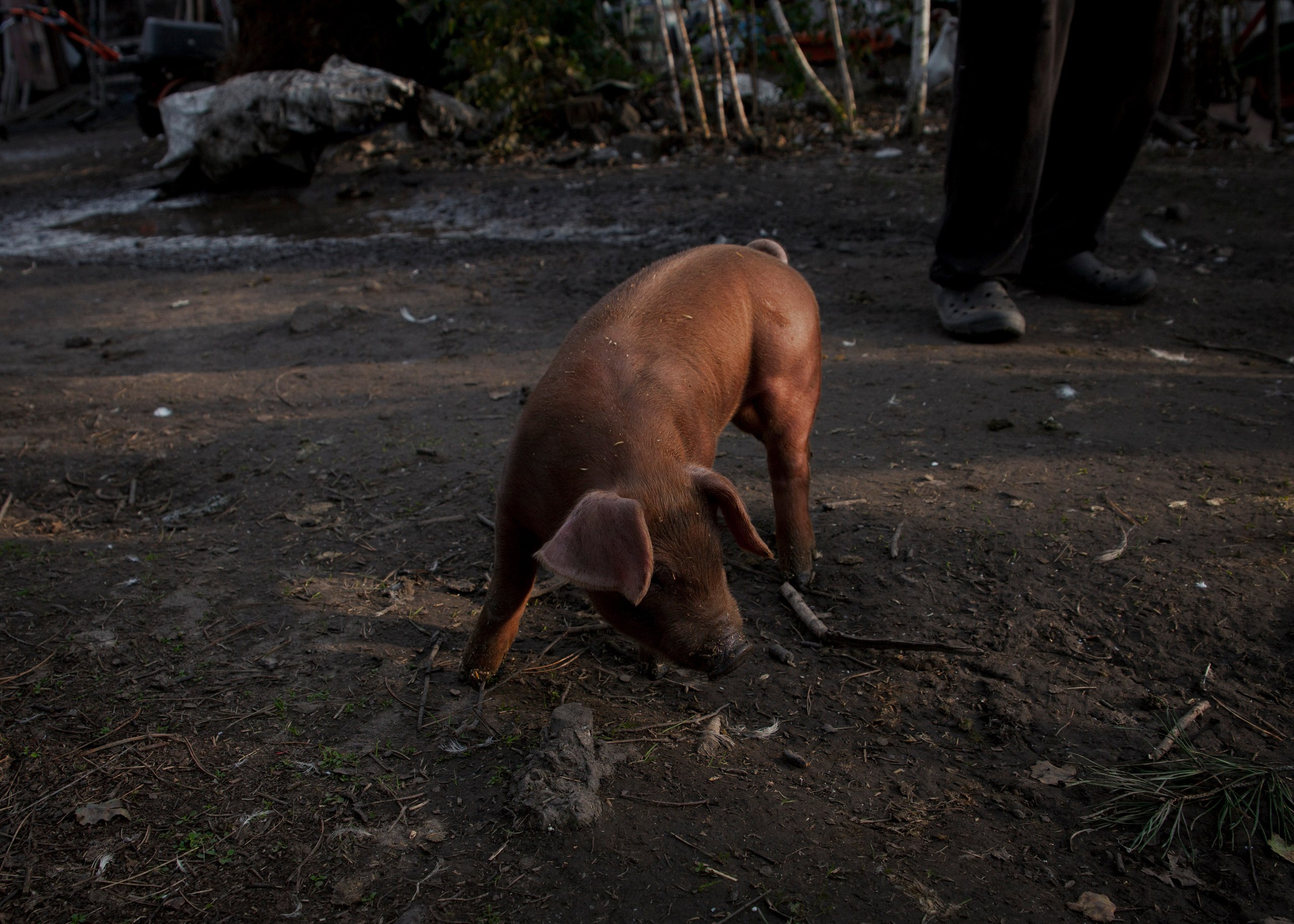 Backstage со съёмок фильма «Reverenсе». Портретный фотограф в Москве Дарья Цезария