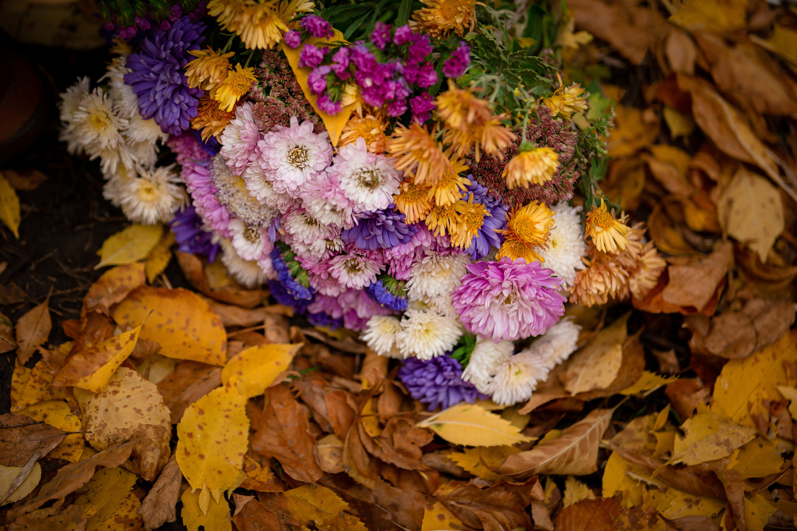 Роща Баума. Осенняя фотопрогулка. Отбасылық фотограф Алена Шаталова